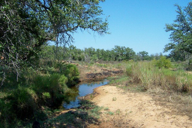 a view of lake with green space