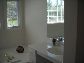 1310 Lake Ridge Square Johnson City, TN 37601 - Photo 10 of 12 1st Floor Master Bath