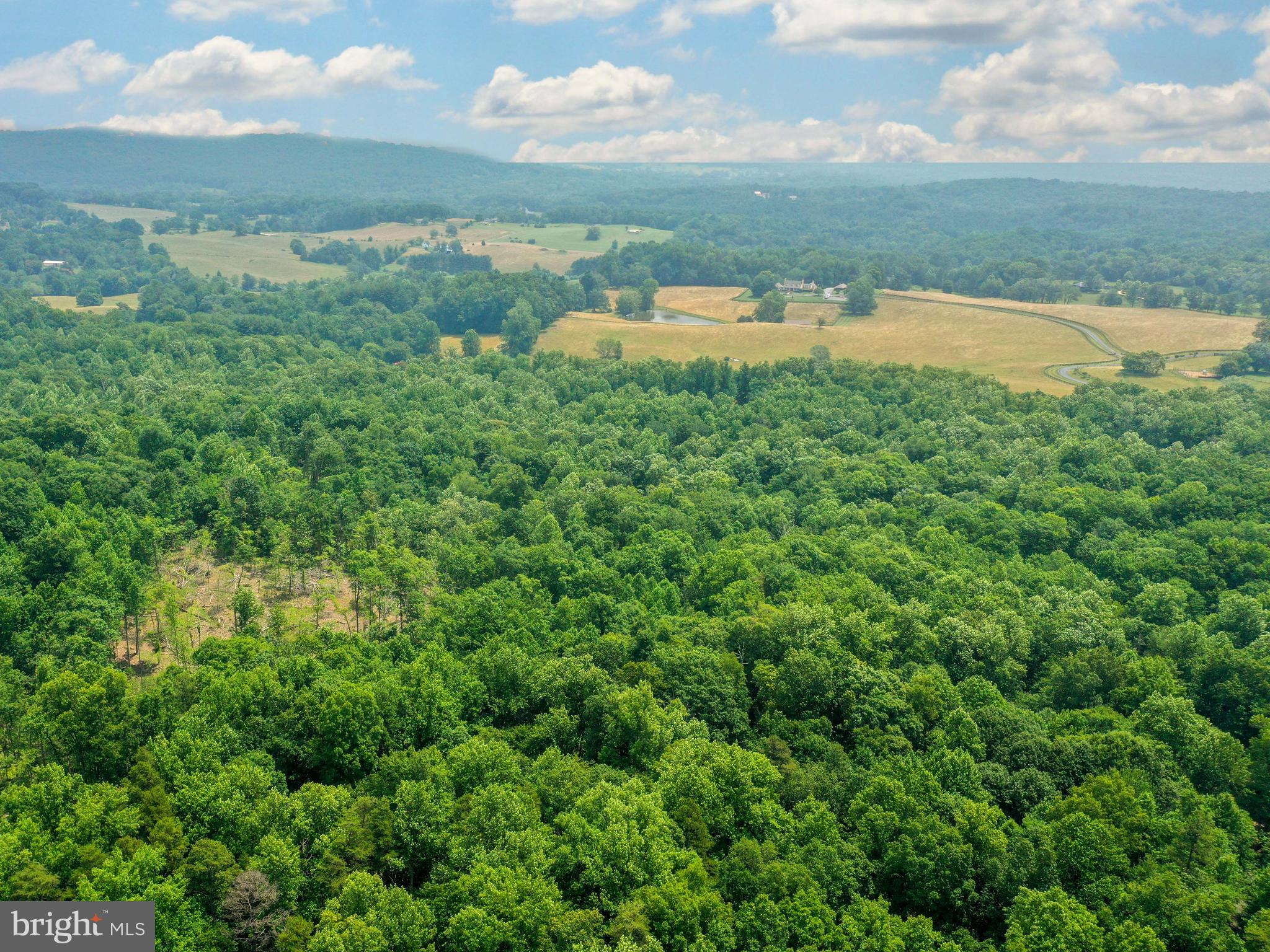 6041 Varzara Road Marshall, VA 20115 - Photo 11 of 21 Gallery Image 11