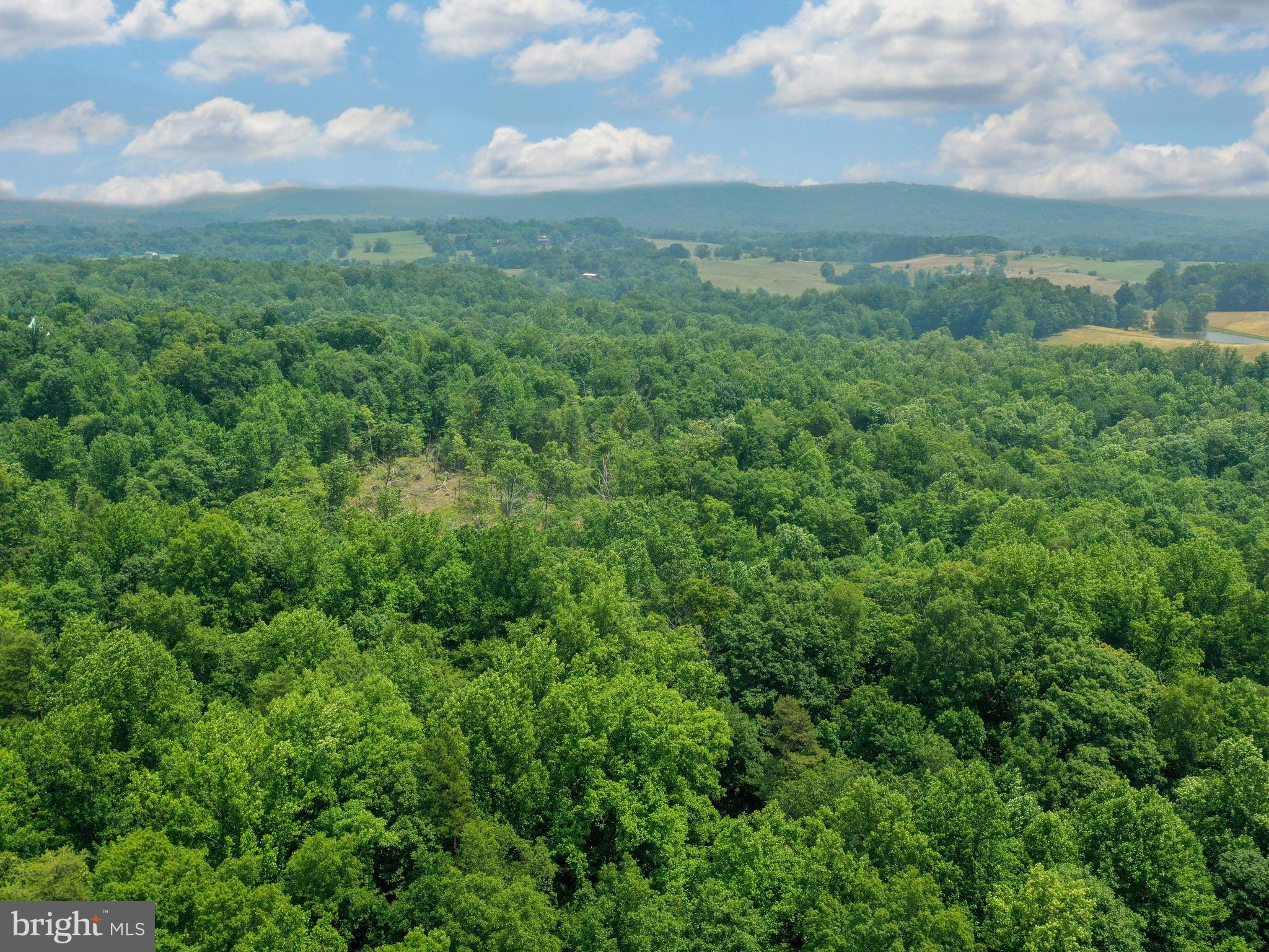 6041 Varzara Road Marshall, VA 20115 - Photo 12 of 21 Gallery Image 12