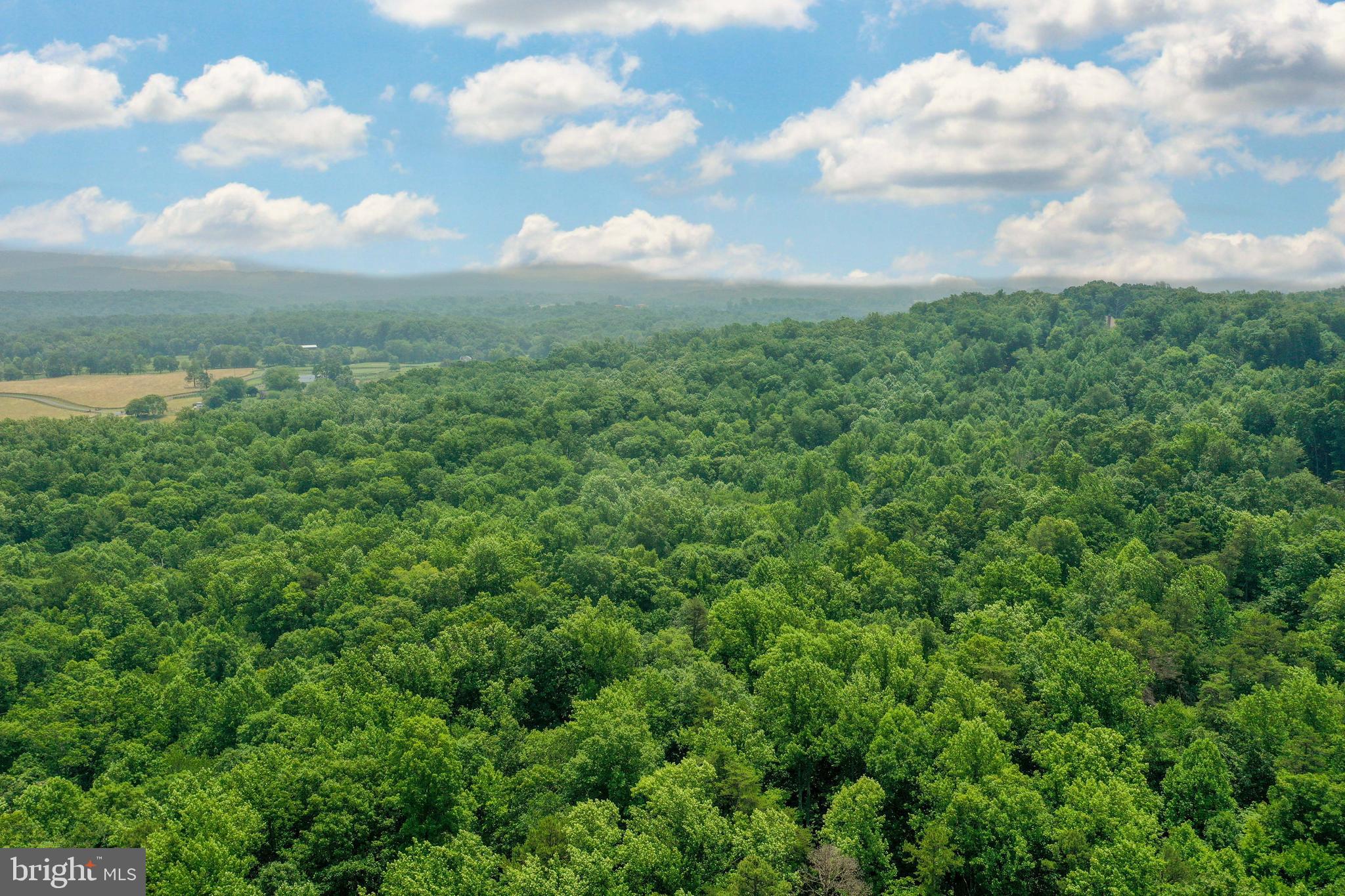 6041 Varzara Road Marshall, VA 20115 - Photo 13 of 21 Gallery Image 13