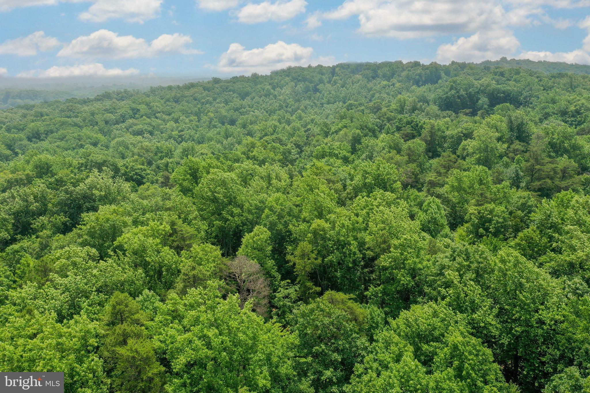 6041 Varzara Road Marshall, VA 20115 - Photo 14 of 21 Gallery Image 14
