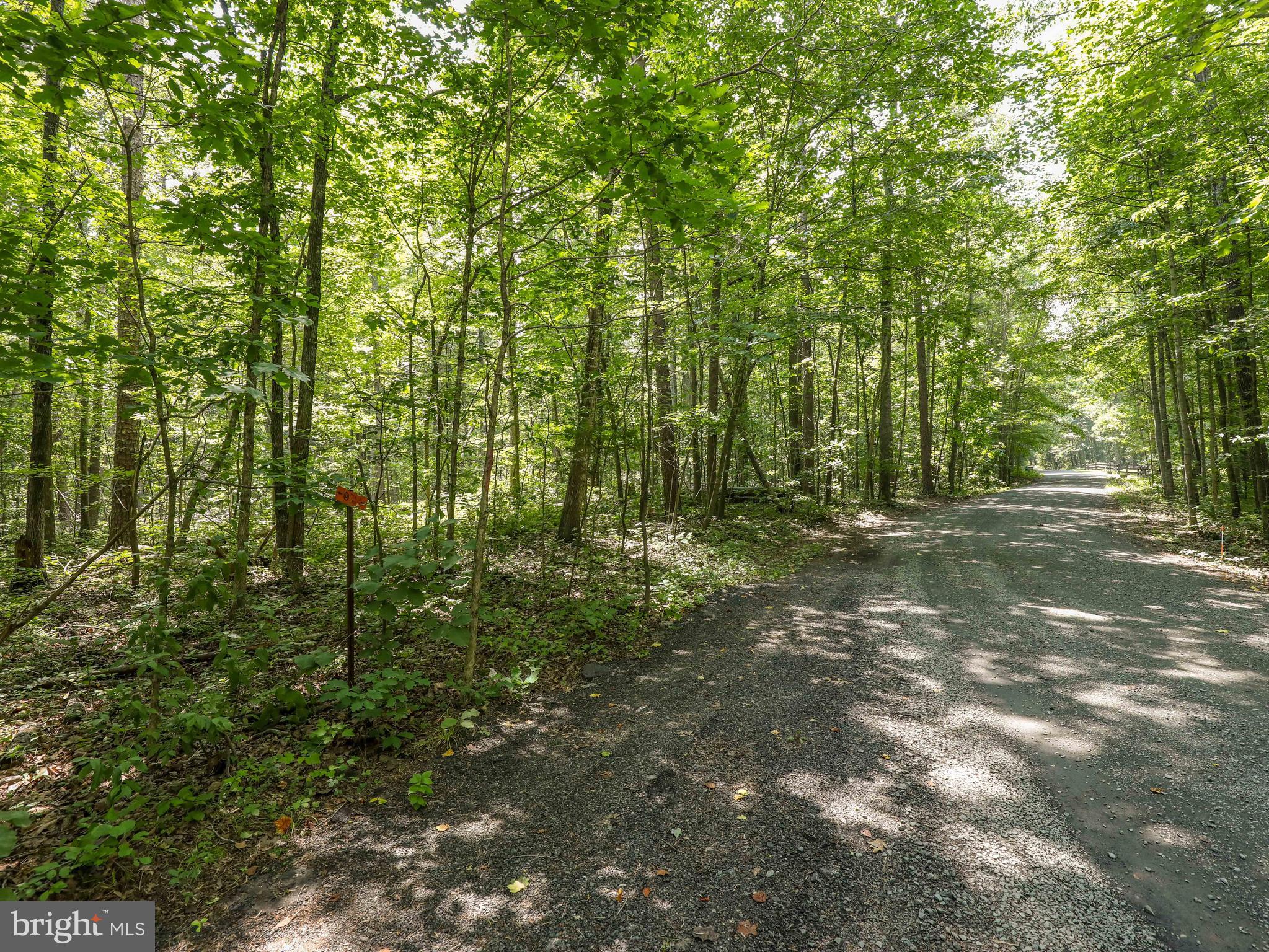 6041 Varzara Road Marshall, VA 20115 - Photo 16 of 21 Gallery Image 16