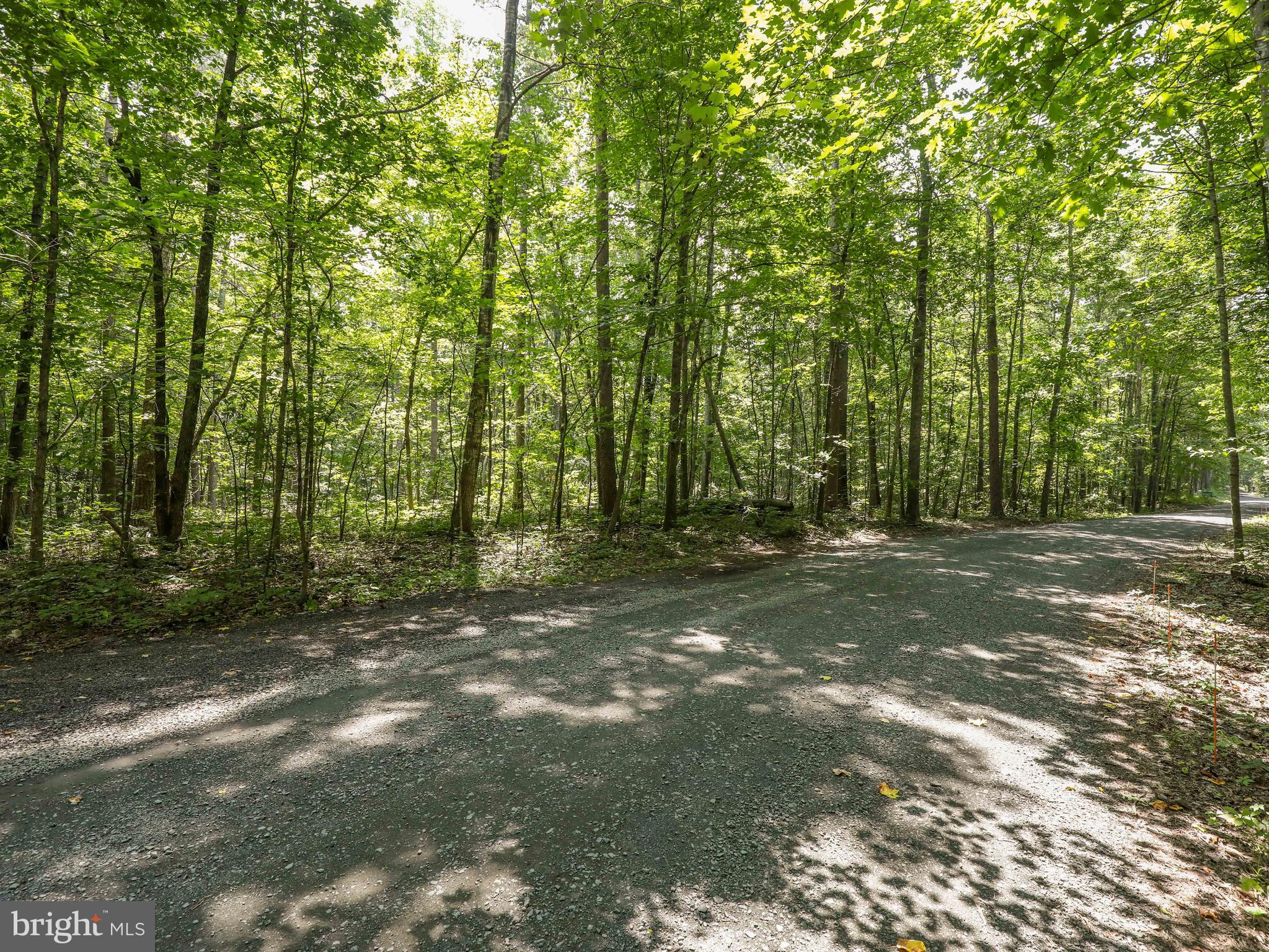 6041 Varzara Road Marshall, VA 20115 - Photo 17 of 21 Gallery Image 17