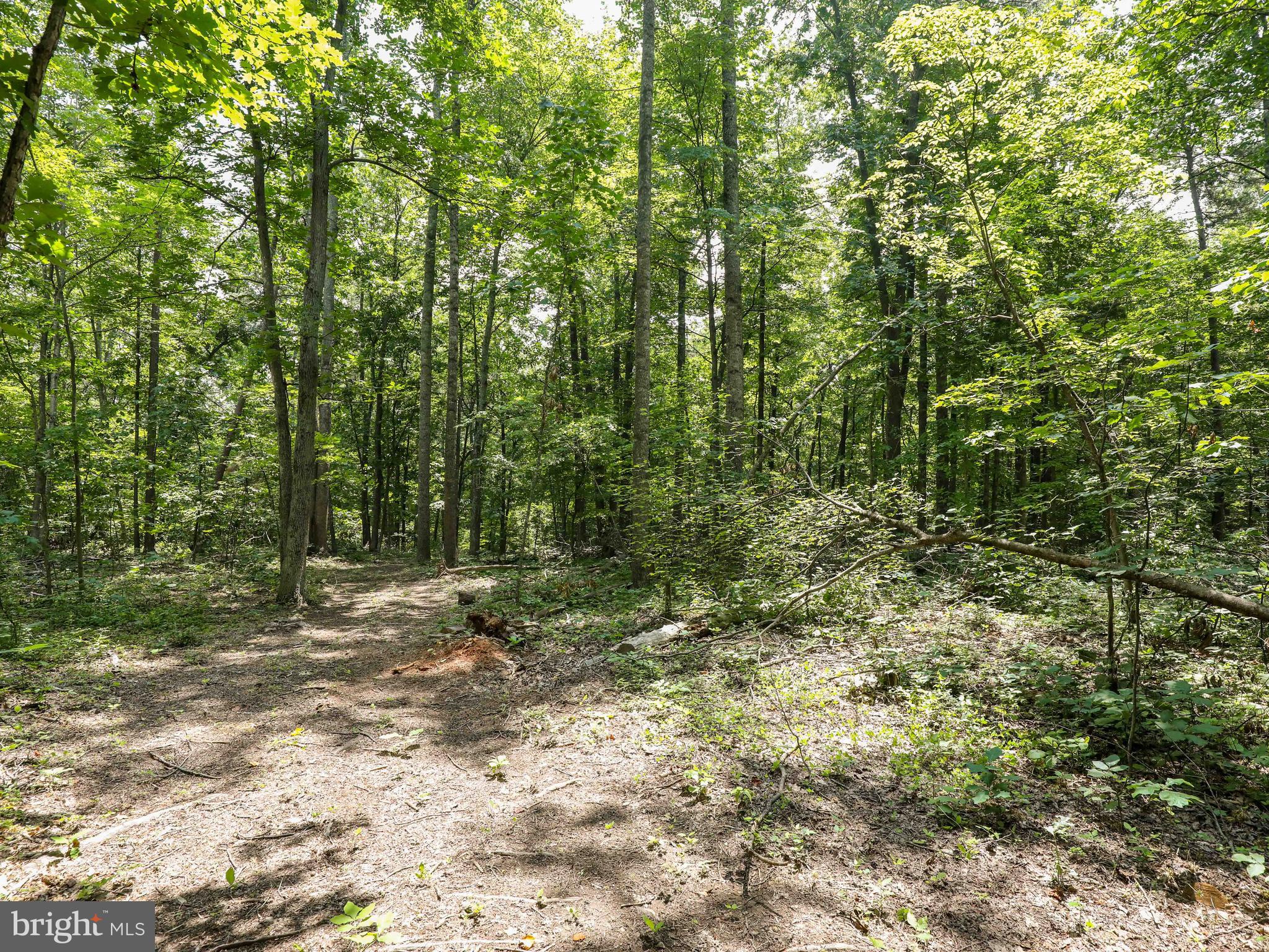 6041 Varzara Road Marshall, VA 20115 - Photo 18 of 21 Gallery Image 18