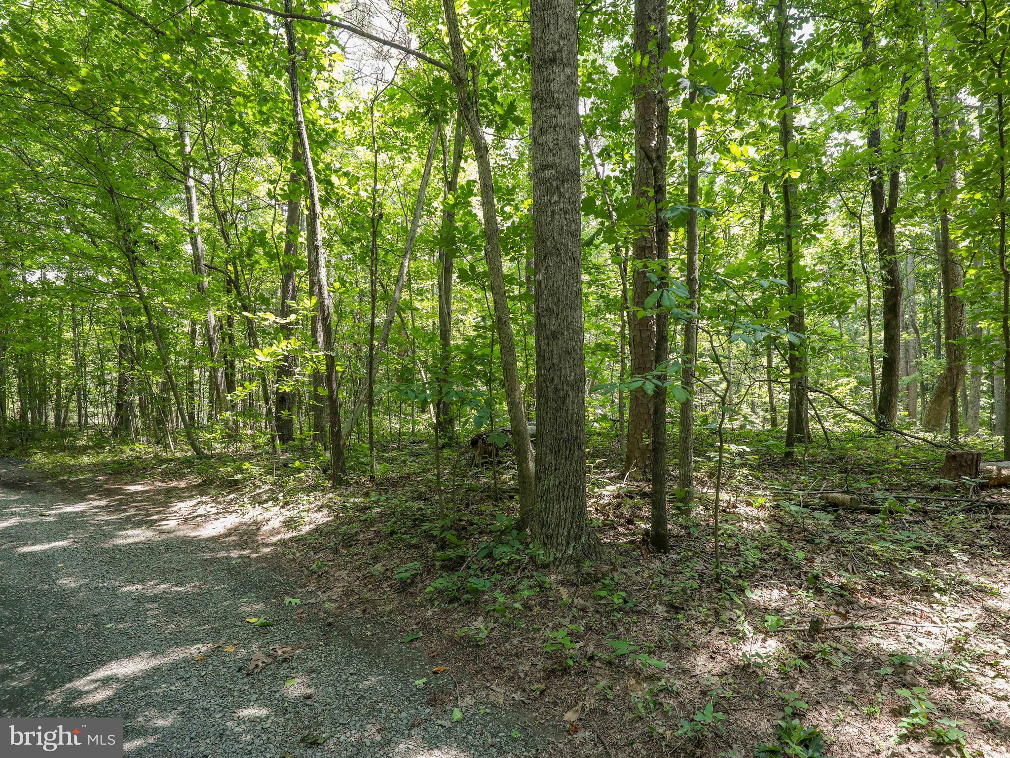 6041 Varzara Road Marshall, VA 20115 - Photo 19 of 21 Gallery Image 19