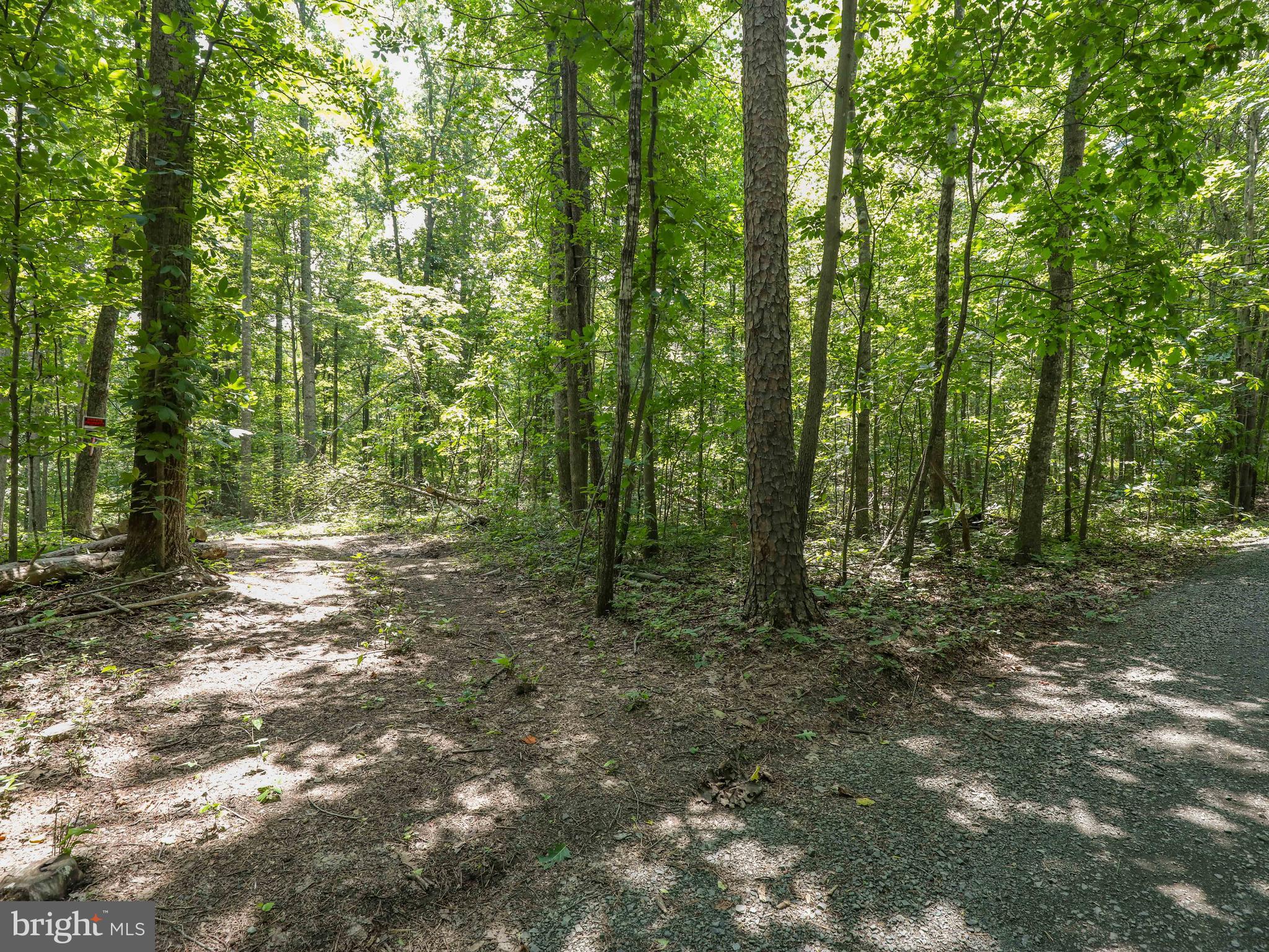6041 Varzara Road Marshall, VA 20115 - Photo 20 of 21 Gallery Image 20