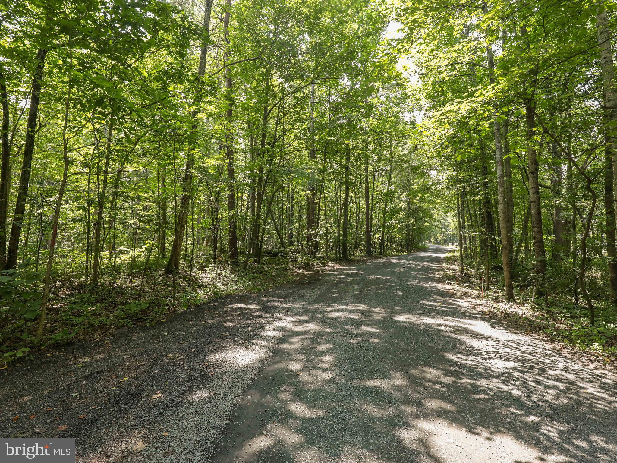 6041 Varzara Road Marshall, VA 20115 - Photo 21 of 21 Gallery Image 21