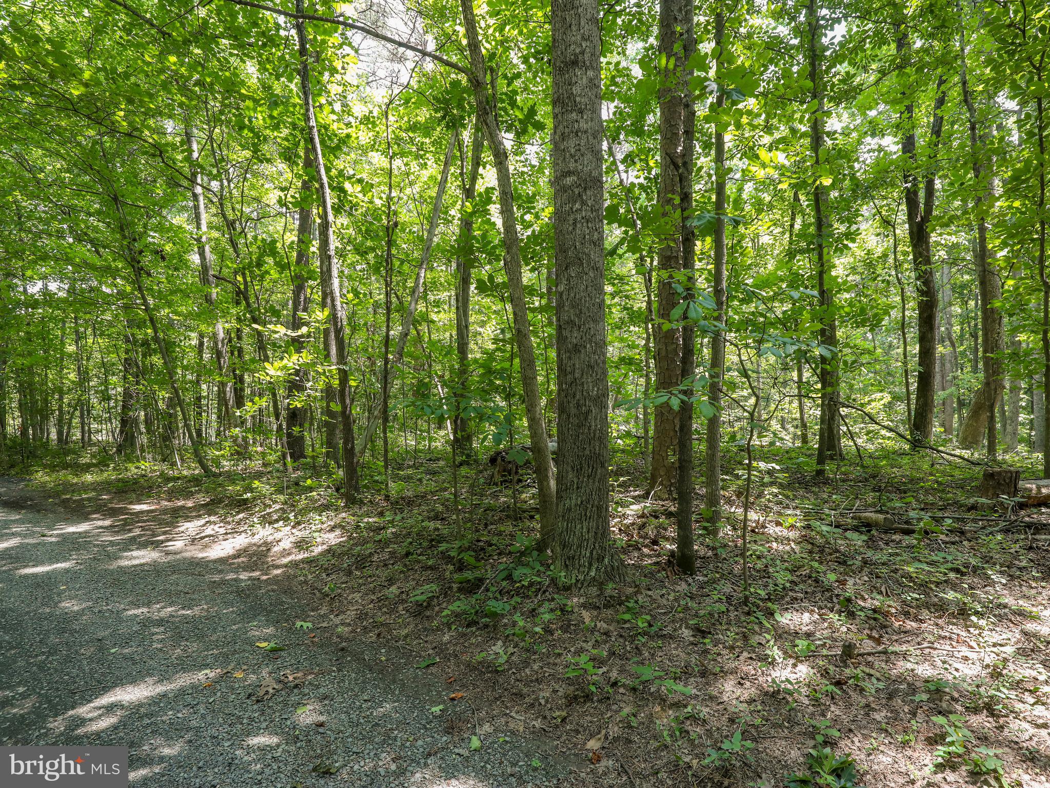 6041 Varzara Road Marshall, VA 20115 - Photo 8 of 21 Gallery Image 8
