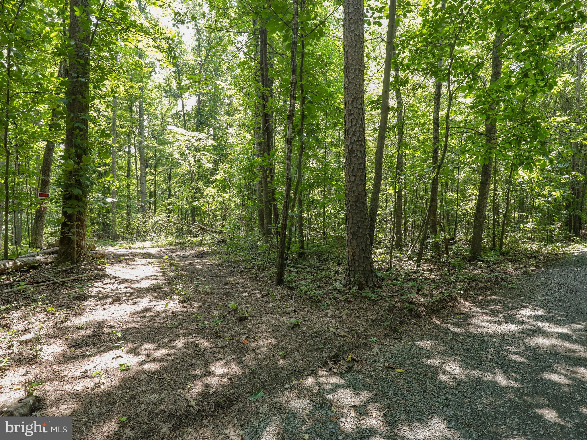 6041 Varzara Road Marshall, VA 20115 - Photo 9 of 21 Gallery Image 9