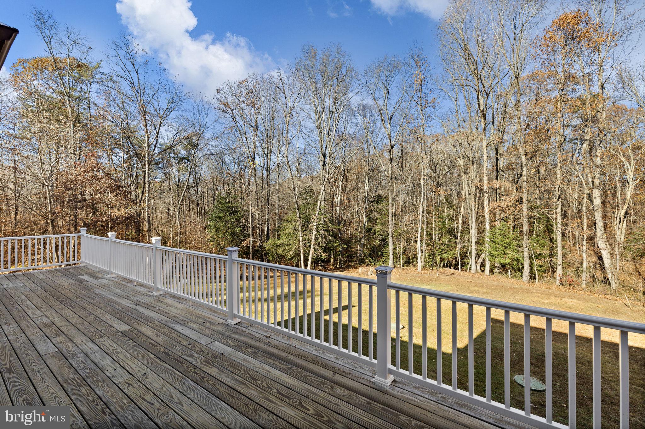 4075 Red Gate Lane King George, VA 22485 - Photo 13 of 69
