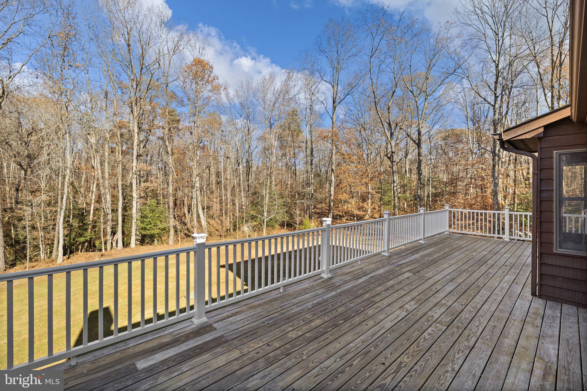 4075 Red Gate Lane King George, VA 22485 - Photo 14 of 69