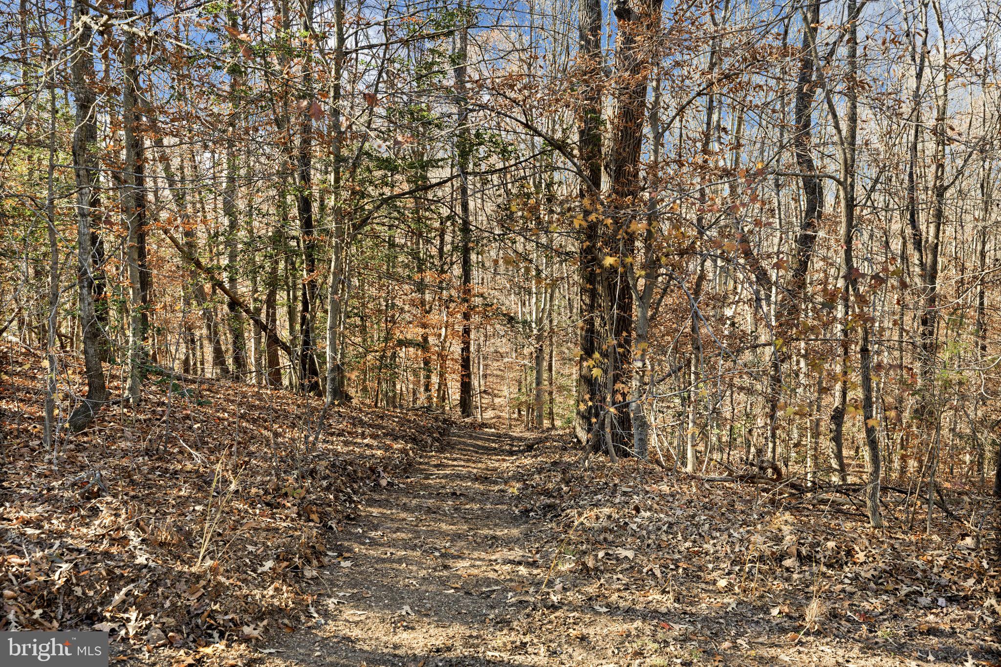 4075 Red Gate Lane King George, VA 22485 - Photo 20 of 69