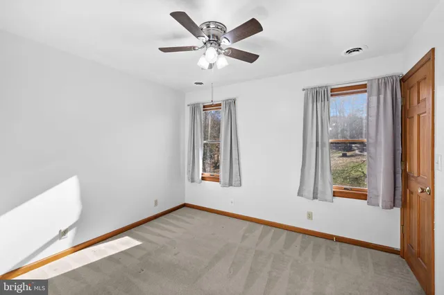 a view of a small yard