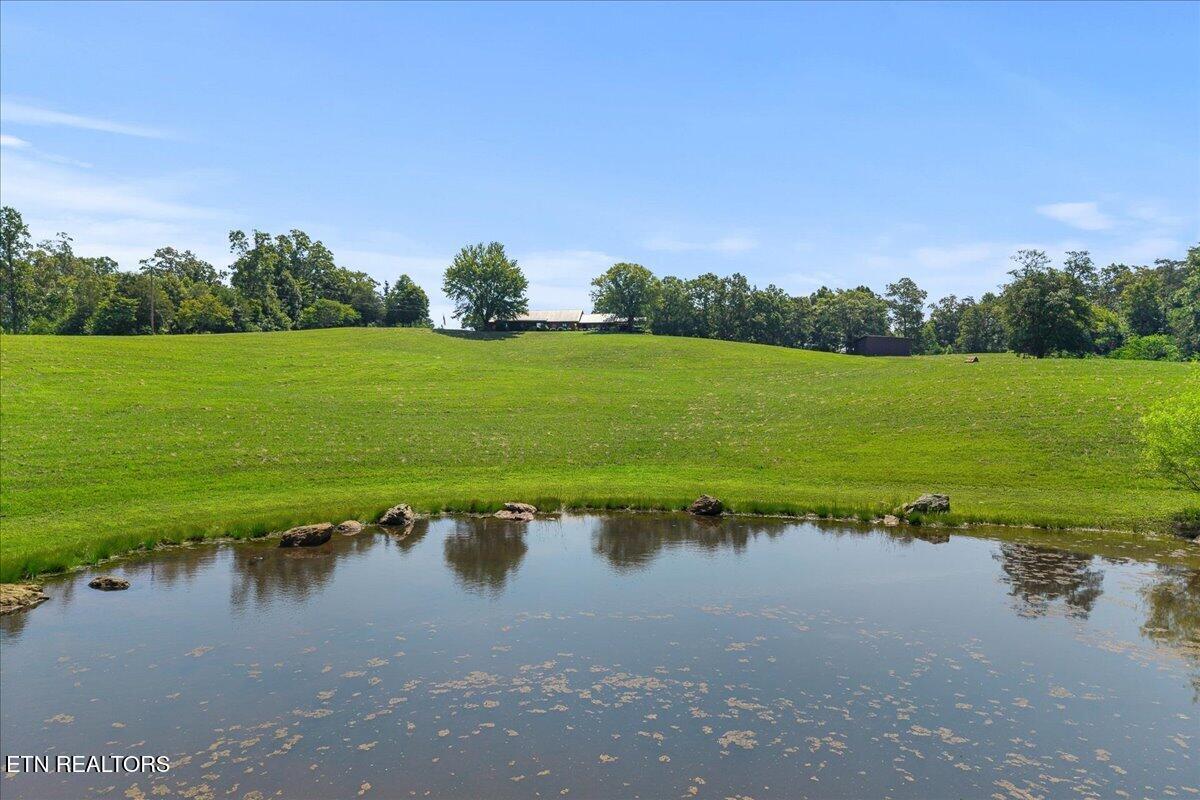 910 Reagan Valley Road Tellico Plains, TN 37385 - Photo 3 of 49 3