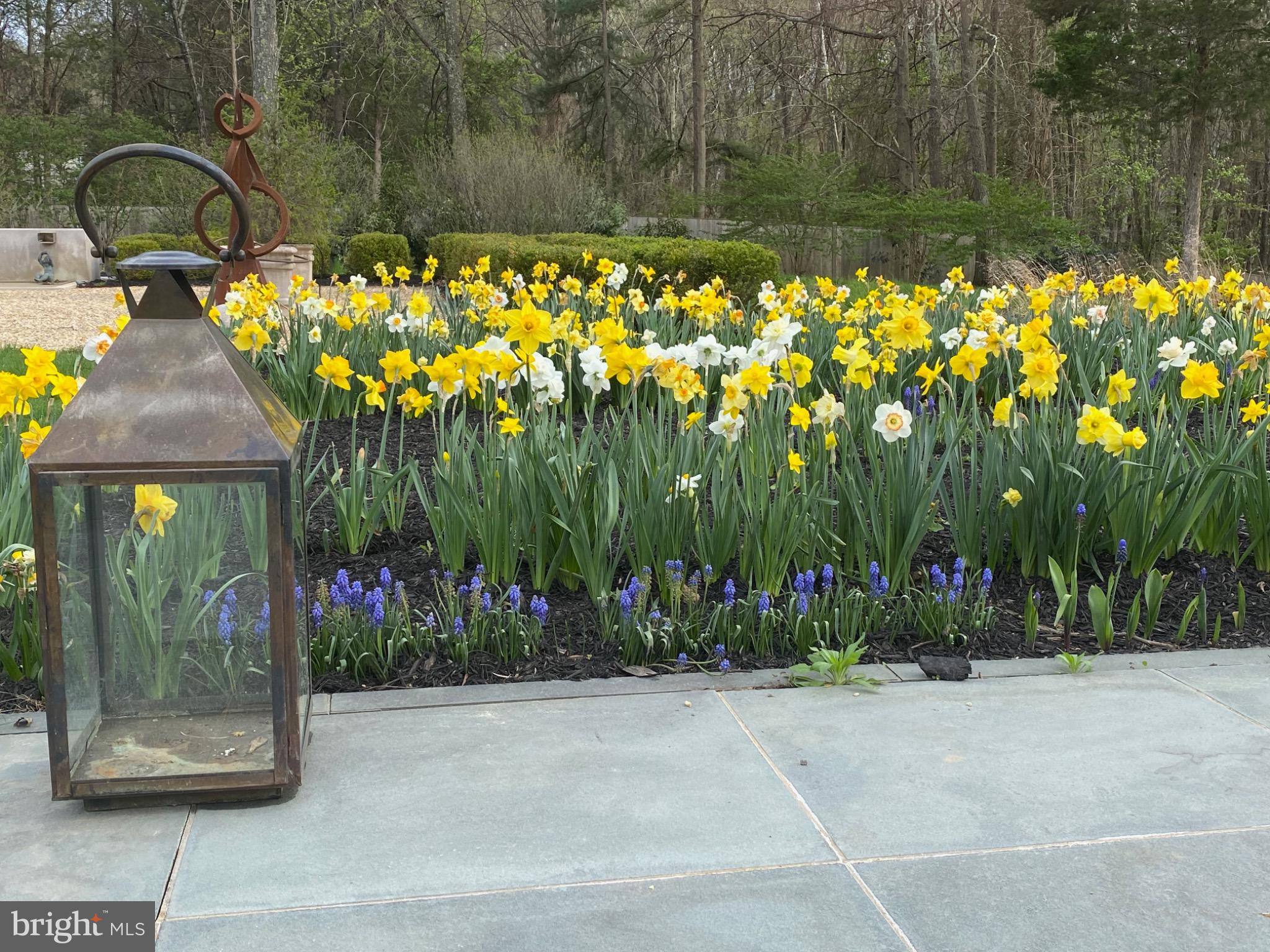 3022 Fox Mill Road Oakton, VA 22124 - Photo 83 of 91 Gallery Image 83