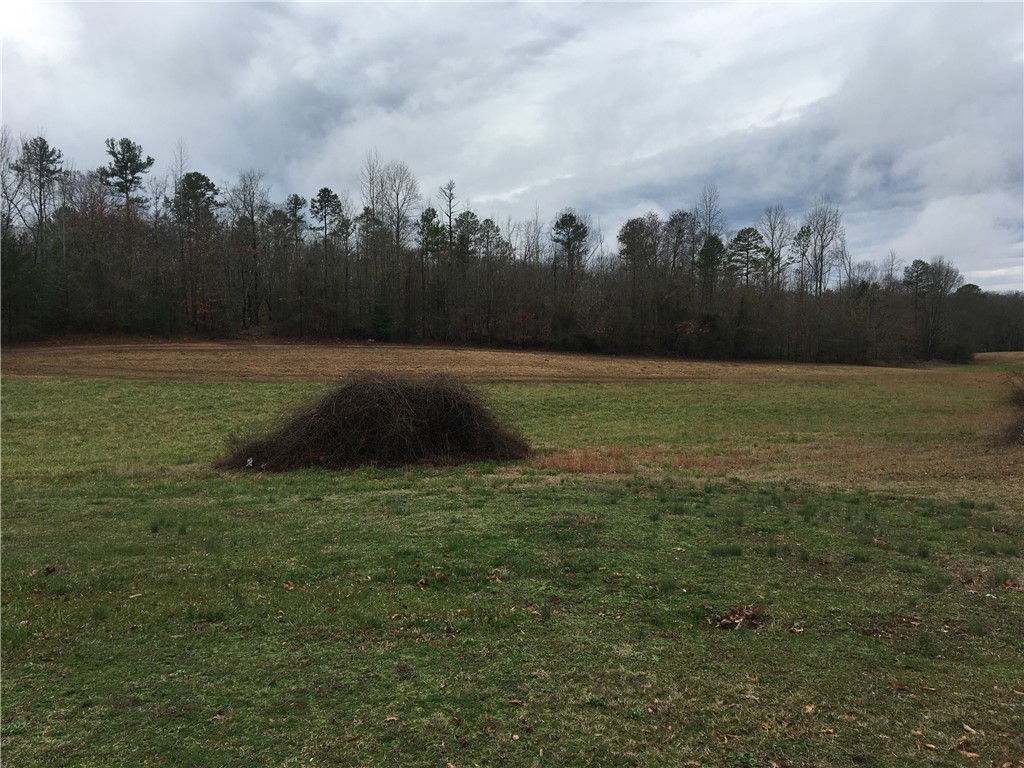 920 Shirley Store Road Anderson, SC 29621 - Photo 17 of 18