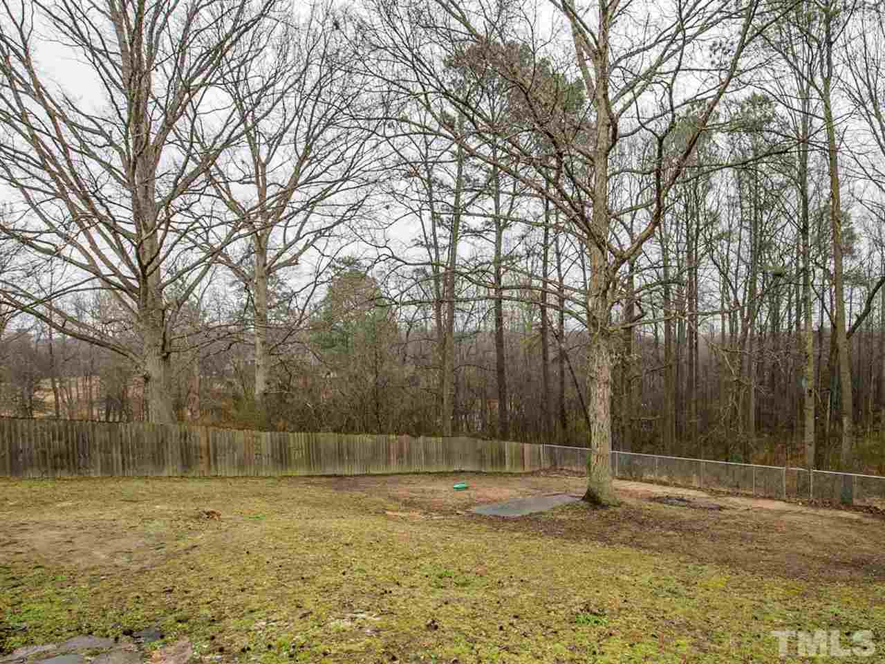 3628 Edgemont Road Wendell, NC 27591 - Photo 17 of 17 a view of a yard