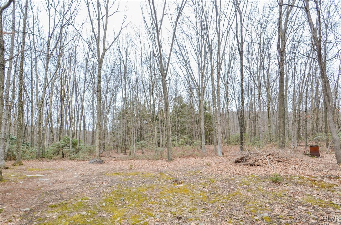 206 Eastbrook Road Effort, PA 18330 - Photo 12 of 13