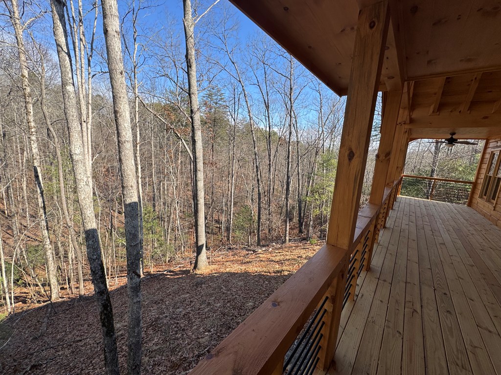 778 Moreland Road Blue Ridge, GA 30513 - Photo 15 of 23 Gallery Image 15