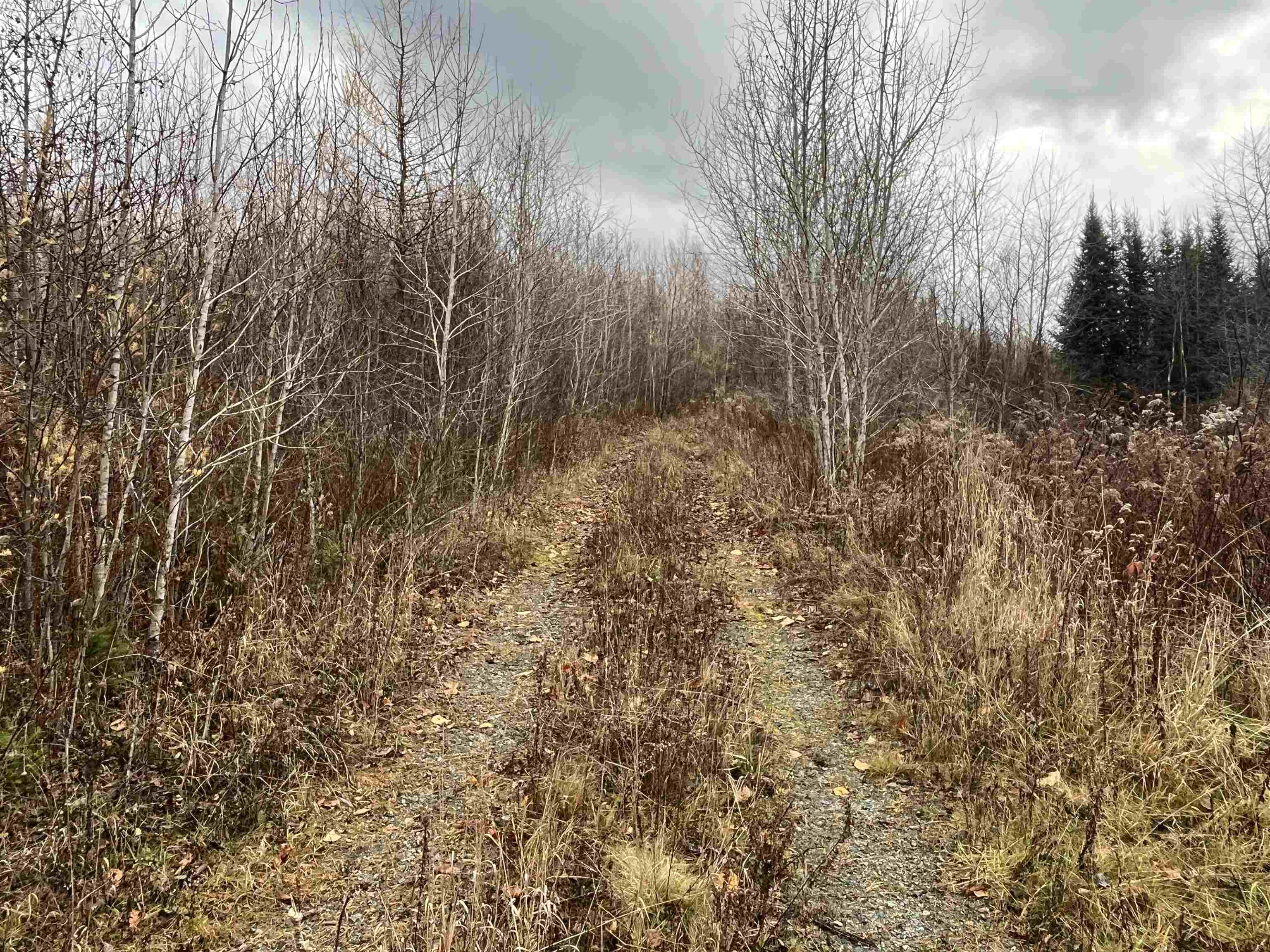 19 Great Rock Road Lancaster, NH 03584 - Photo 2 of 45