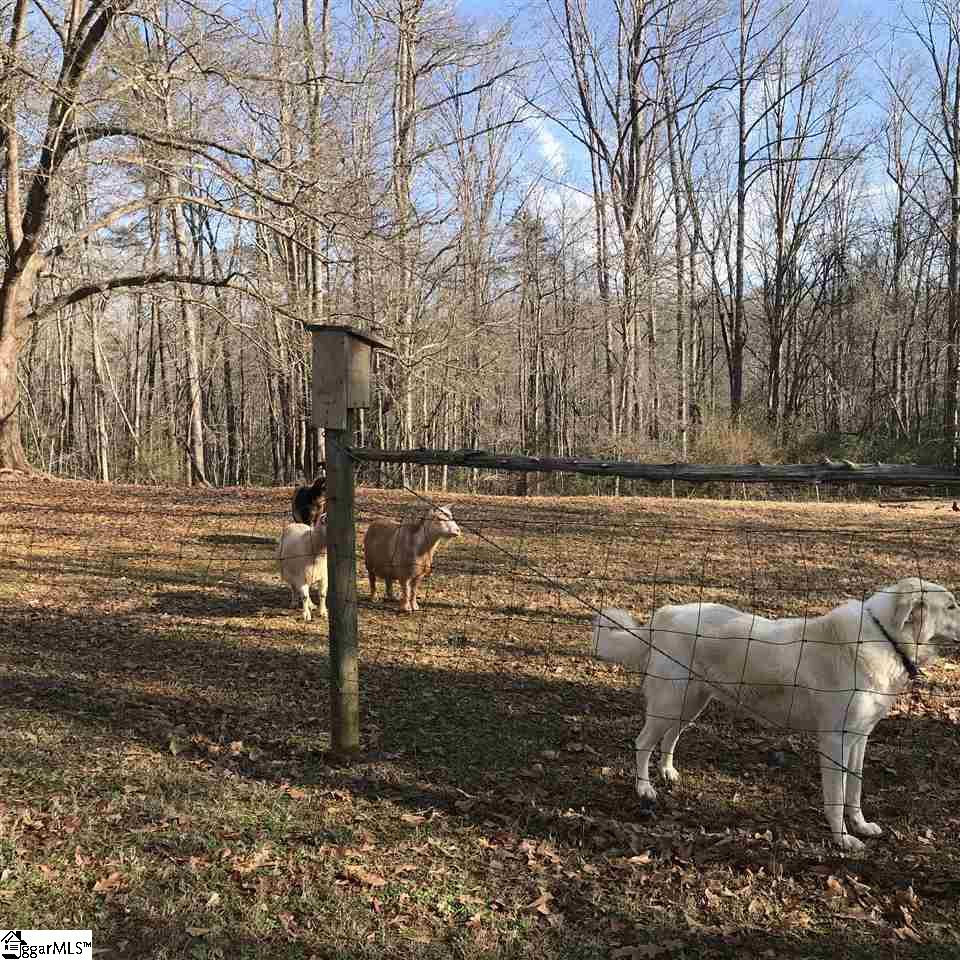156 Hagood Mill Road Pickens, SC 29671 - Photo 28 of 36 Gallery Image 28