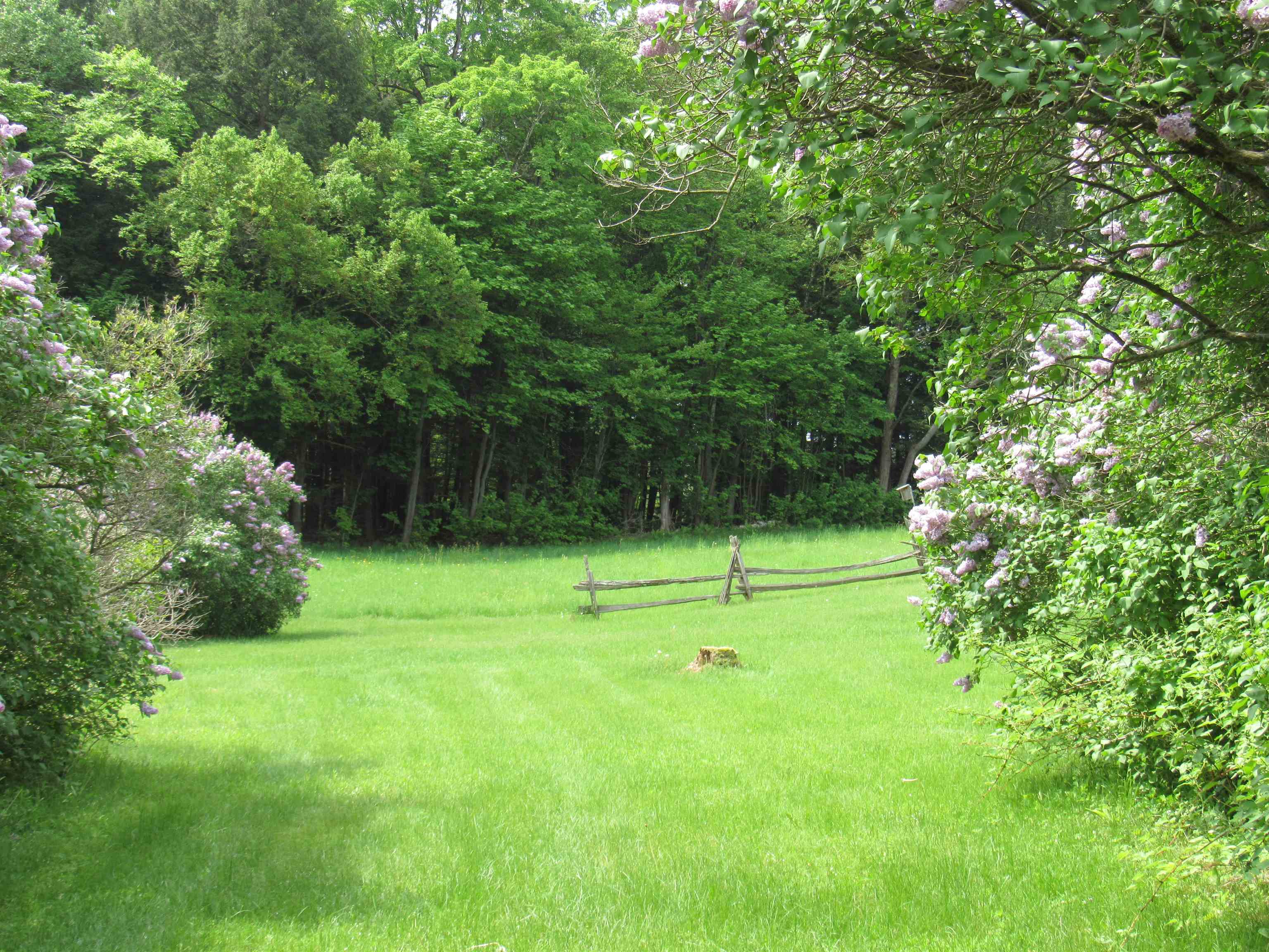 701 Bluff Road Newport, VT 05855 - Photo 31 of 36