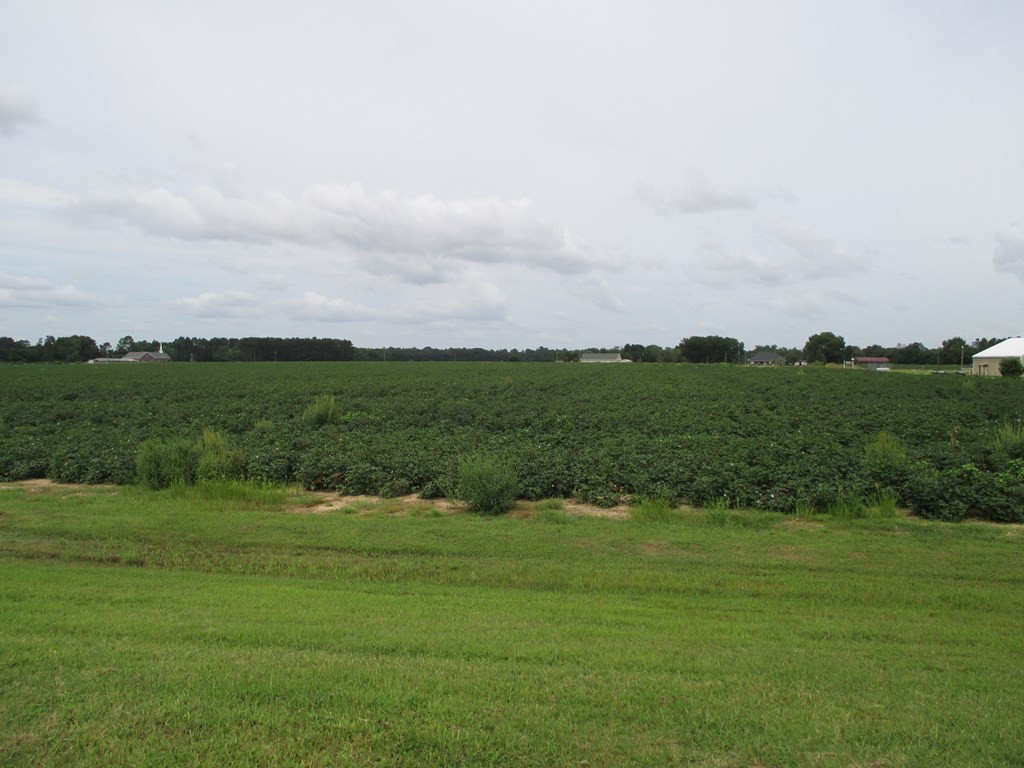 0 Lake Ashwood Road Sumter, SC 29153 - Photo 6 of 10 Gallery Image 6