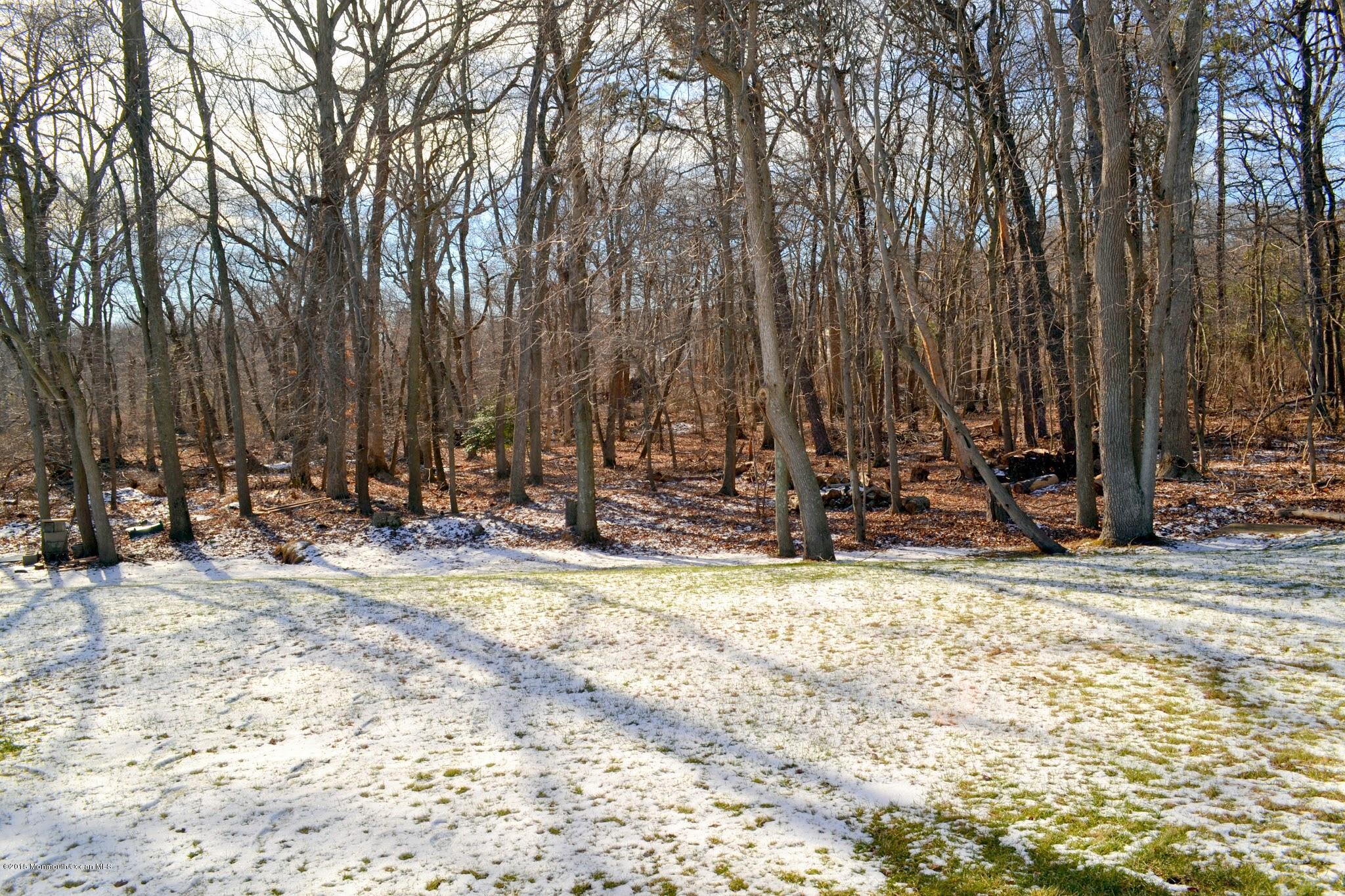 93 Starlight Road Howell, NJ 07731 - Photo 4 of 28