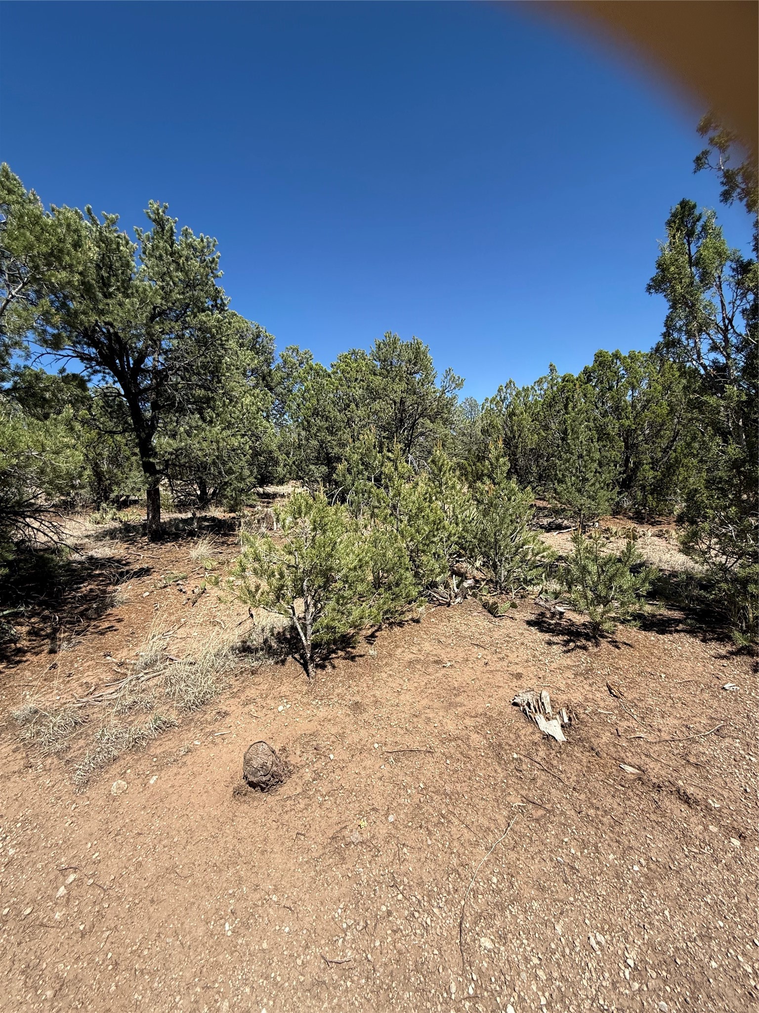174 Hidden Valley Ranch Road Ilfeld, NM 87538 - Photo 17 of 30