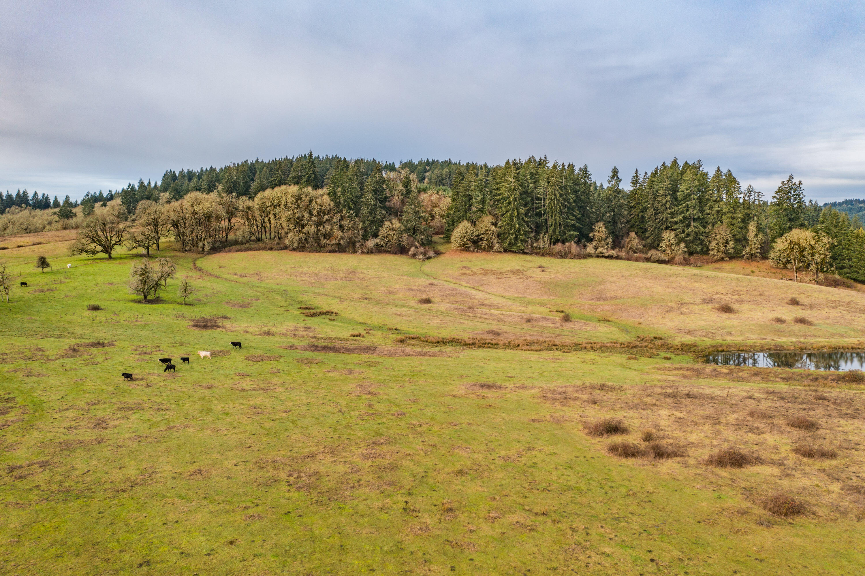 0 Airlie Road Monmouth, OR 97361 - Photo 11 of 33 Export-0824