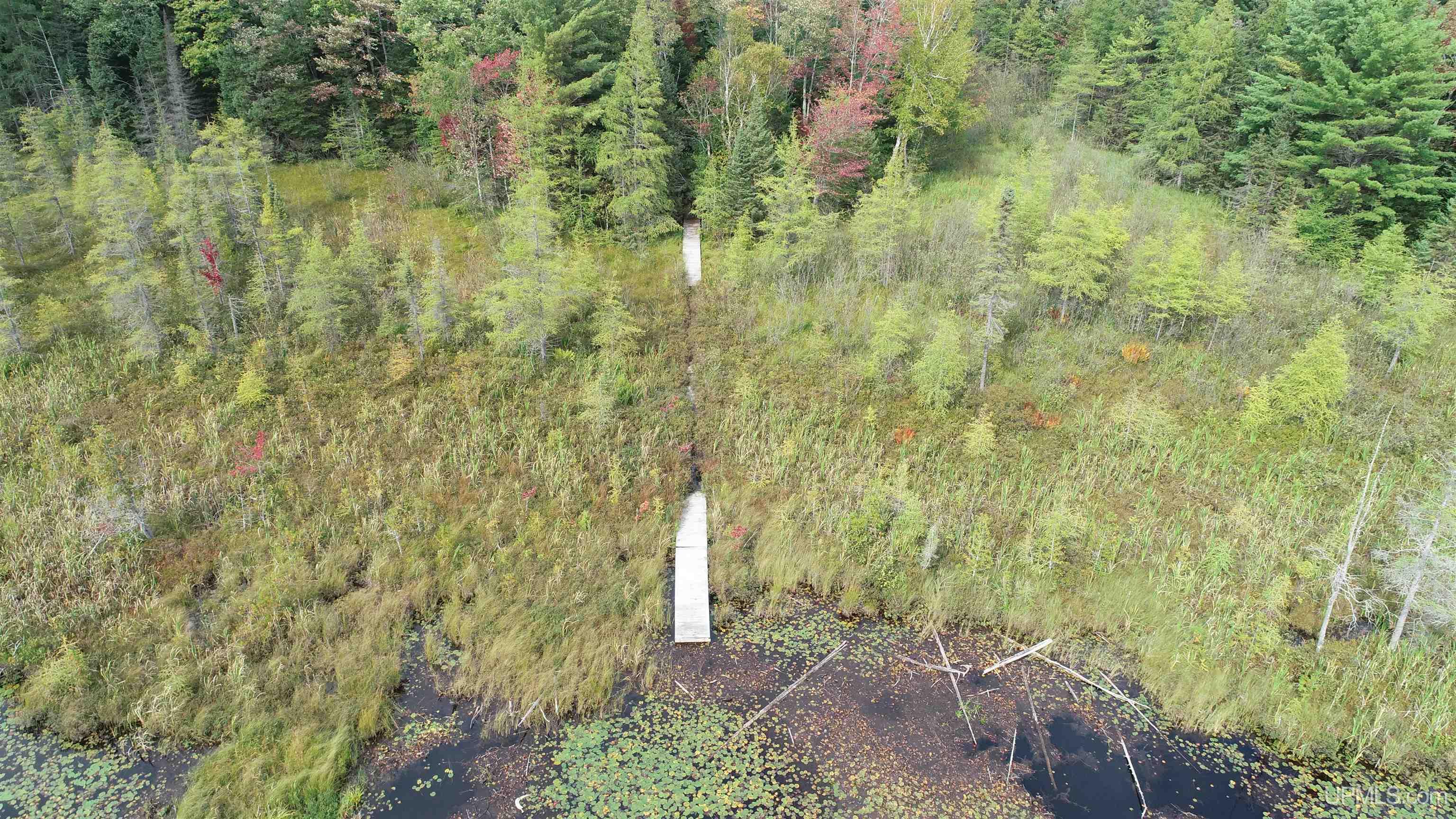 Tbd North Tbd N Powerline Road Germfask, MI 49836 - Photo 21 of 29