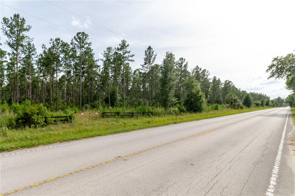 Northeast 90th Street Road Fort McCoy, FL 32134 - Photo 15 of 25