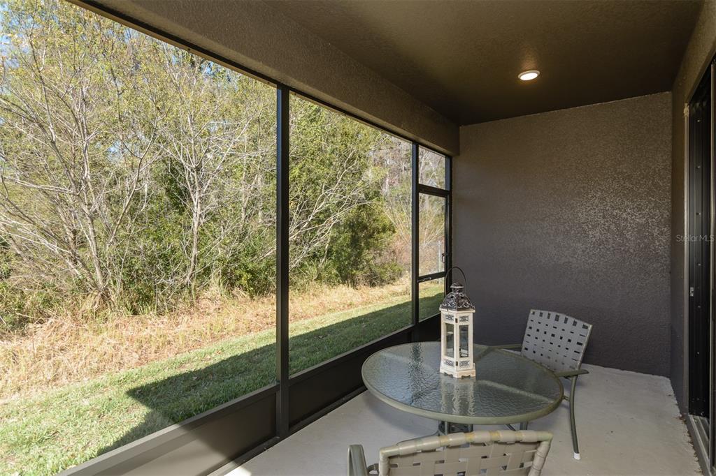 11347 Weaver Hollow Road New Port Richey, FL 34654 - Photo 42 of 49