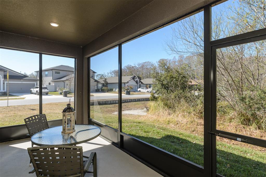 11347 Weaver Hollow Road New Port Richey, FL 34654 - Photo 44 of 49