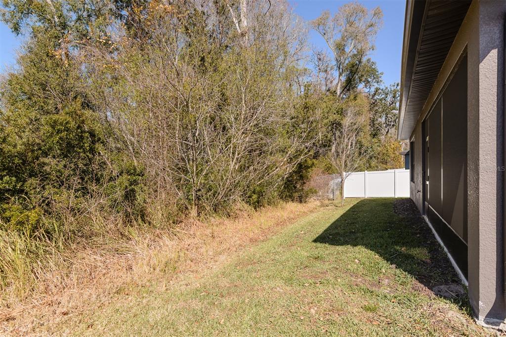 11347 Weaver Hollow Road New Port Richey, FL 34654 - Photo 46 of 49