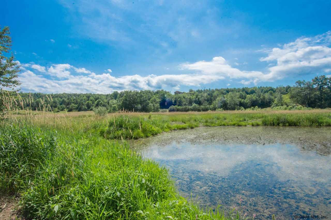 392 Bullock Road New Scotland, NY 12159 - Photo 63 of 70 Photo 65