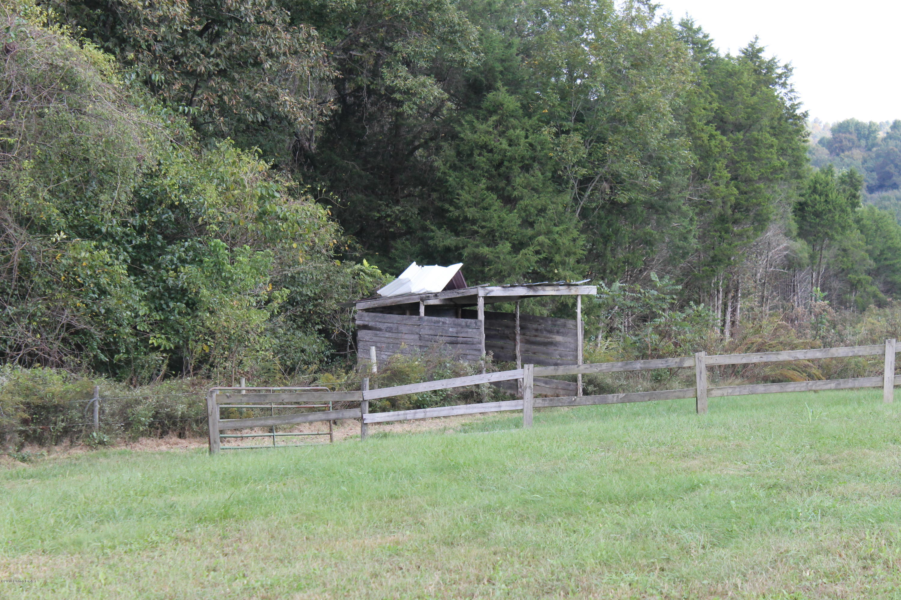 880 Dishman Cemetery Road Canmer, KY 42722 - Photo 8 of 29 IMG_0281