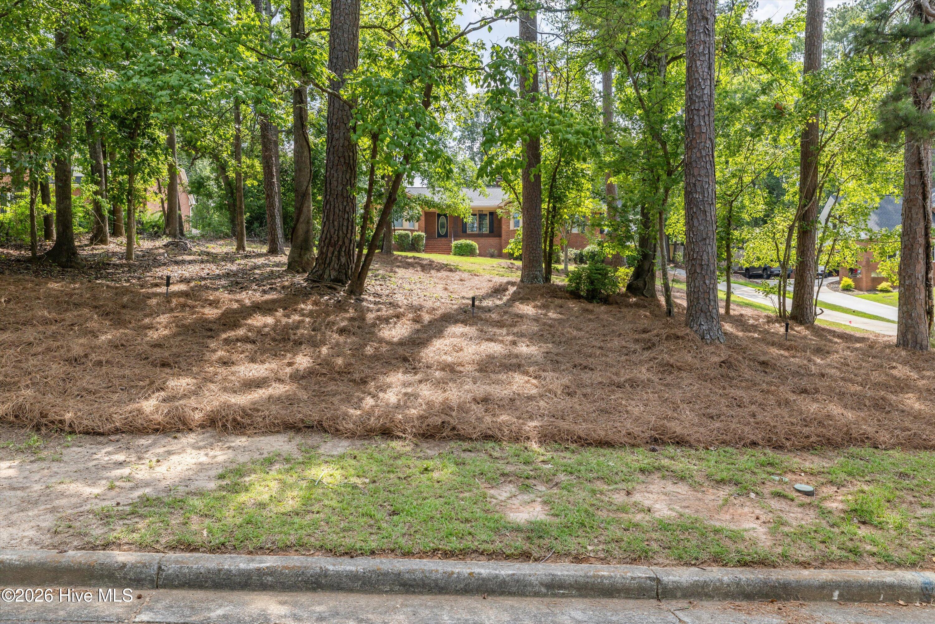 223 Old Mill Road Martinez, GA 30907 - Photo 5 of 46
