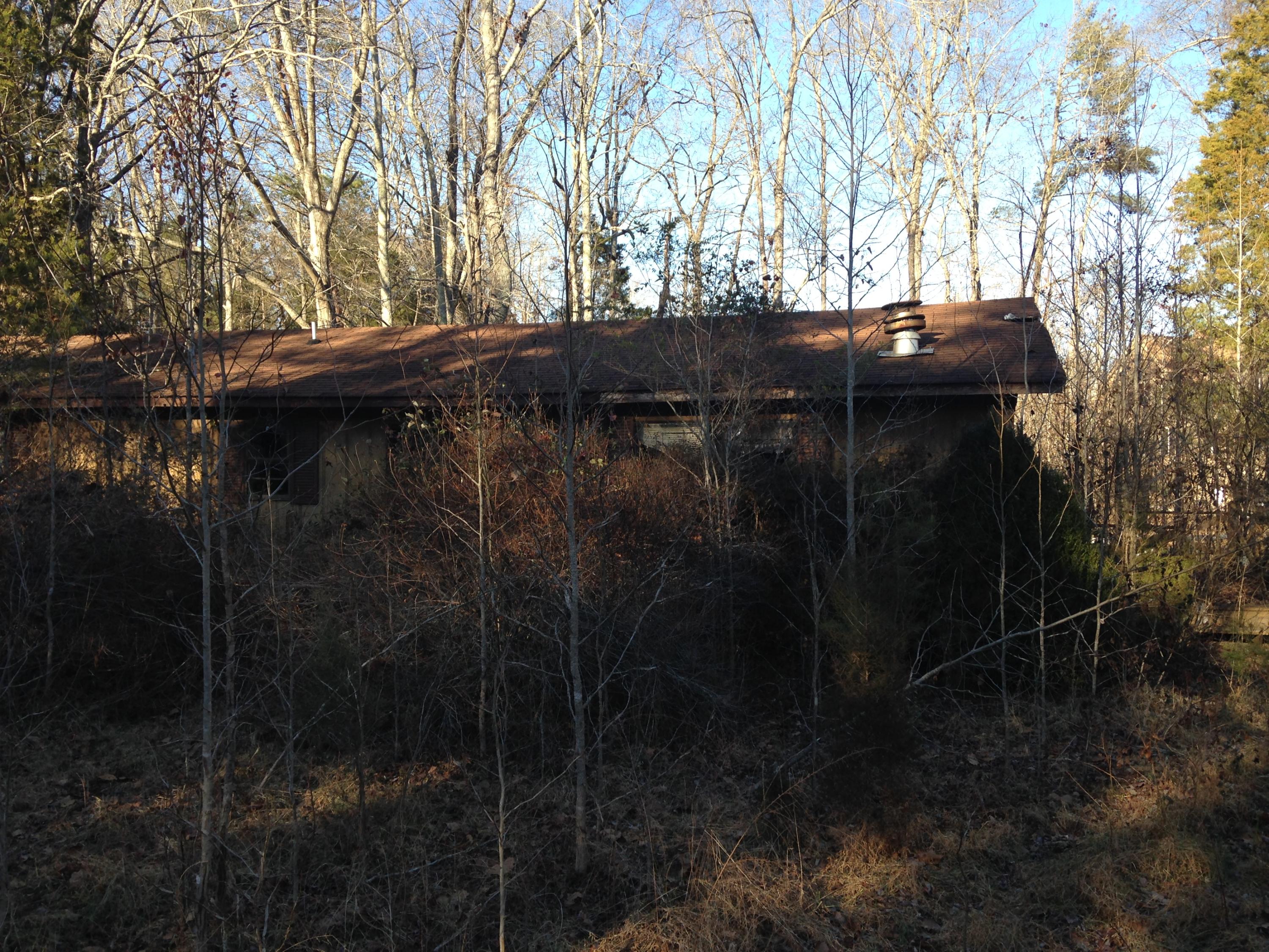 1154 Pin Hook Road Spring City, TN 37381 - Photo 13 of 21 IMG_4069