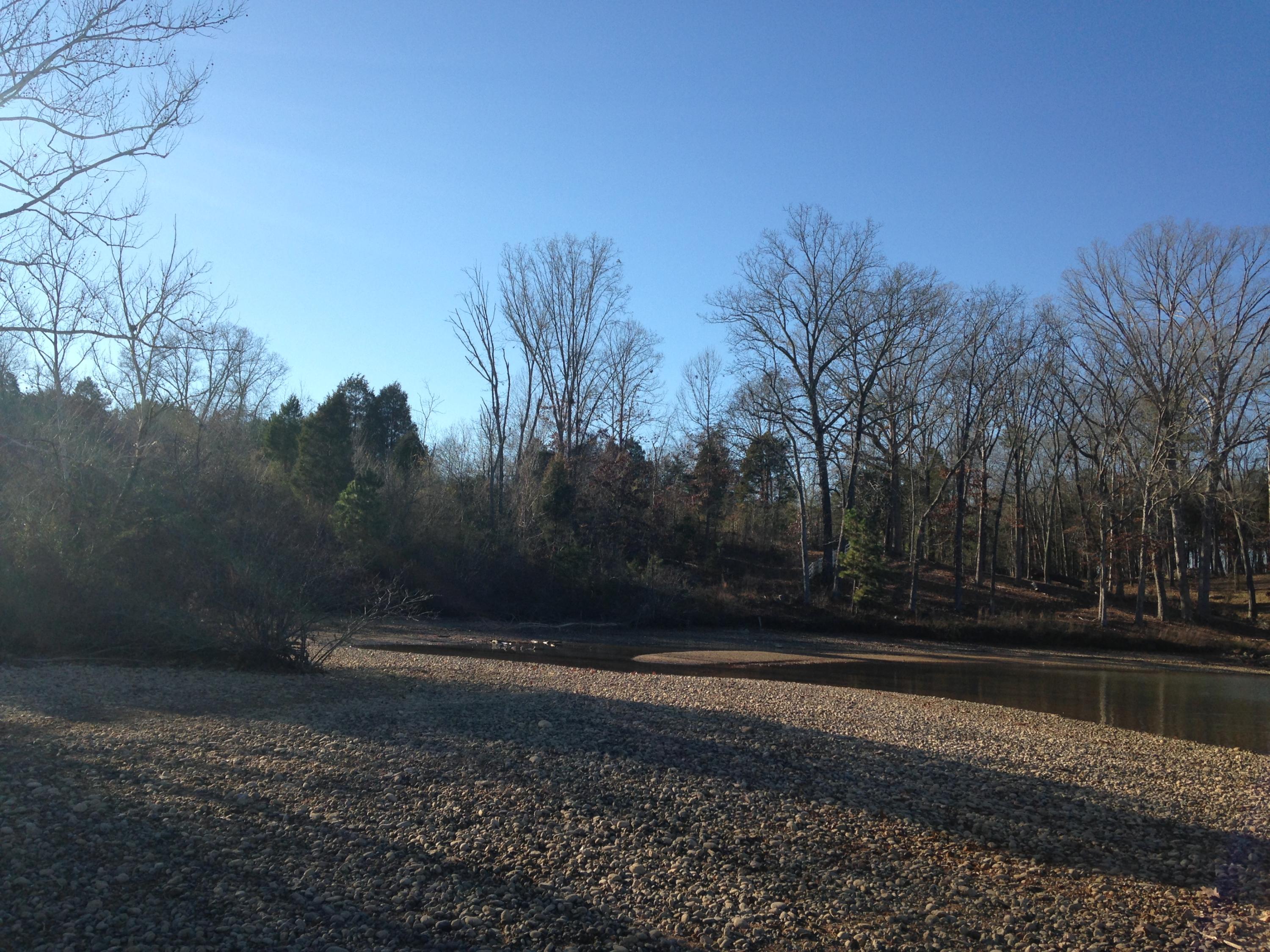 1154 Pin Hook Road Spring City, TN 37381 - Photo 18 of 21 IMG_4075