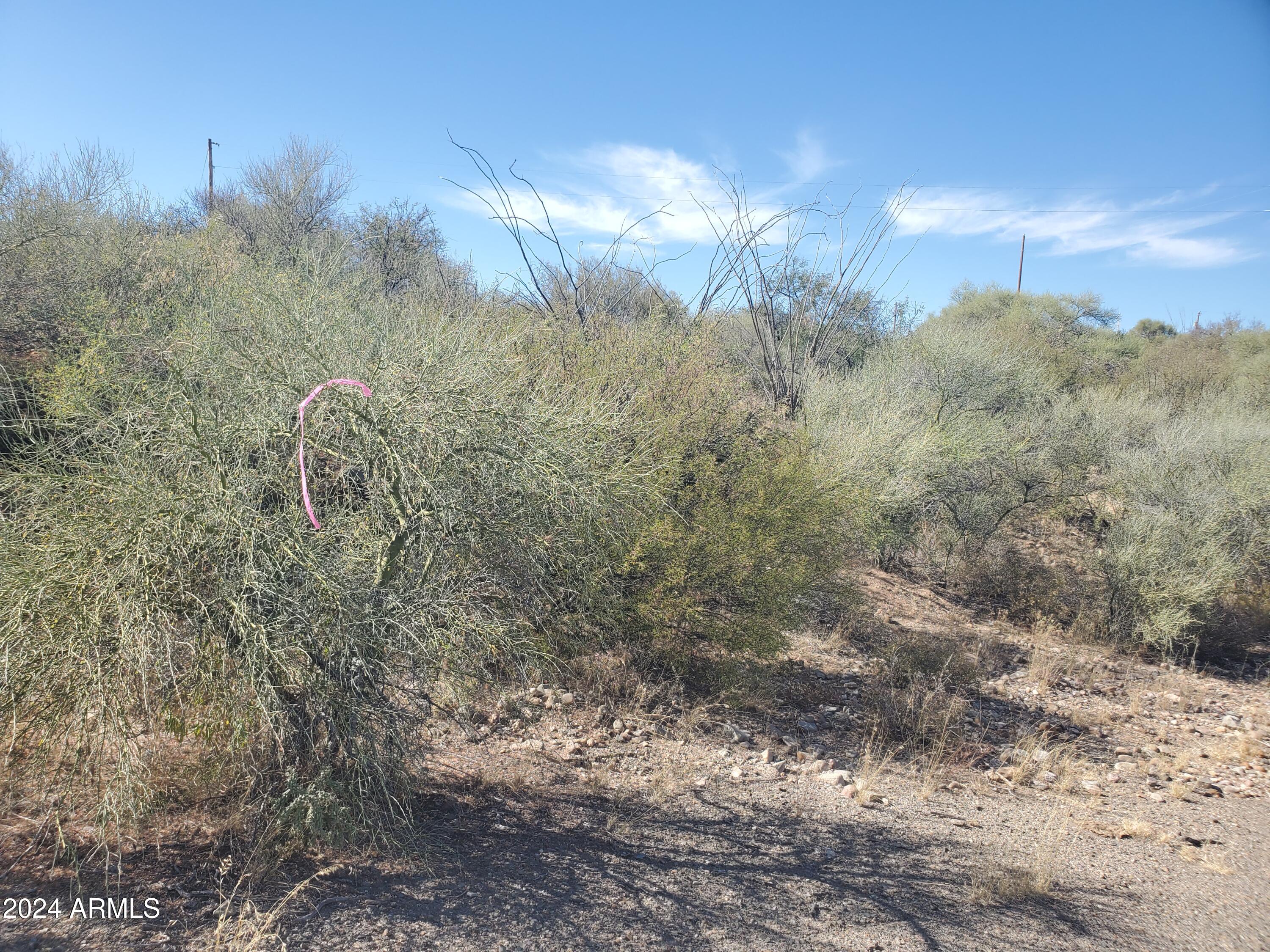 1978 Calle Cominos, Unit 6 Rio Rico, AZ 85648 - Photo 1 of 12 20241022_141207