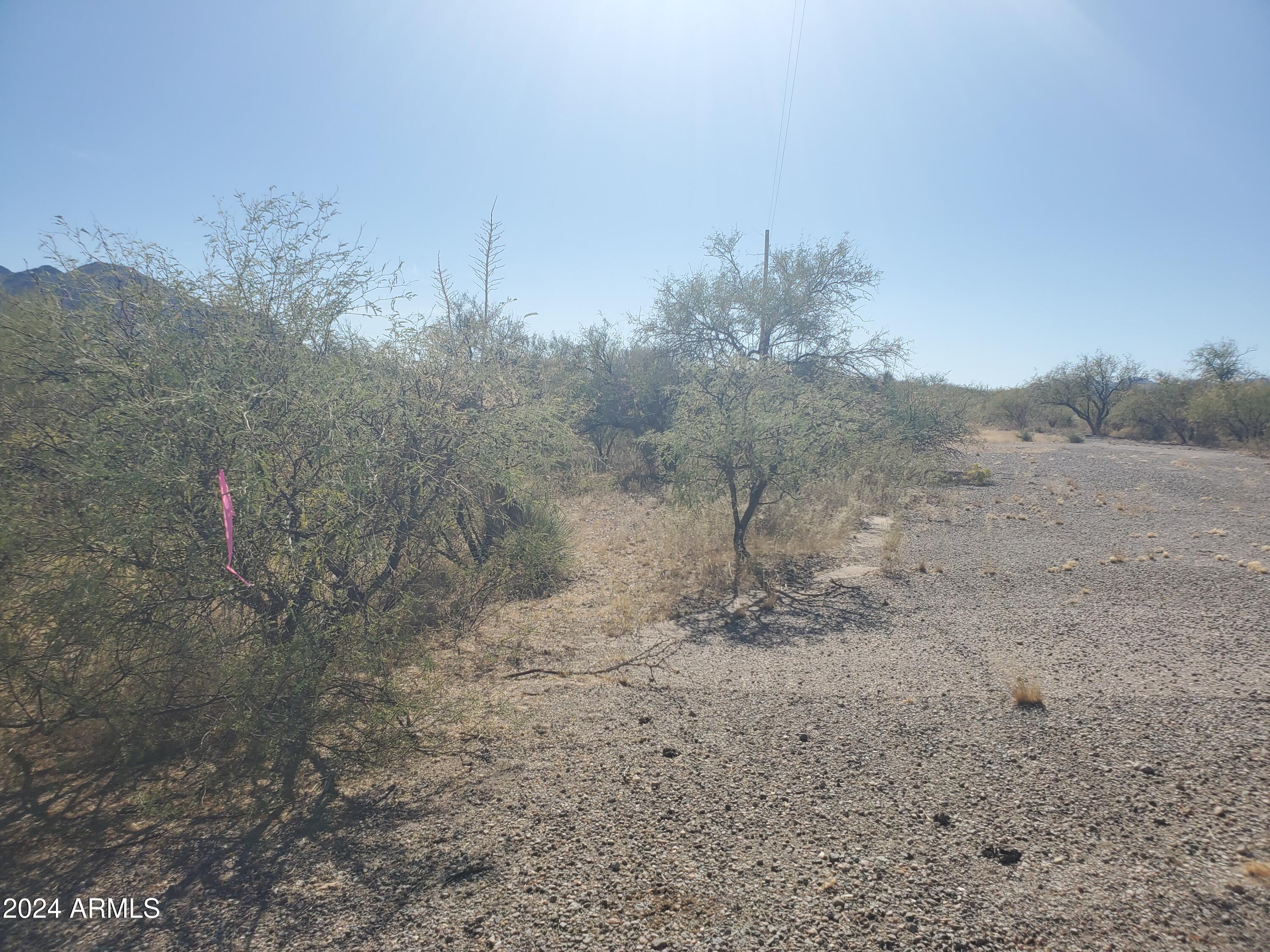 1978 Calle Cominos, Unit 6 Rio Rico, AZ 85648 - Photo 12 of 12 20241022_140622