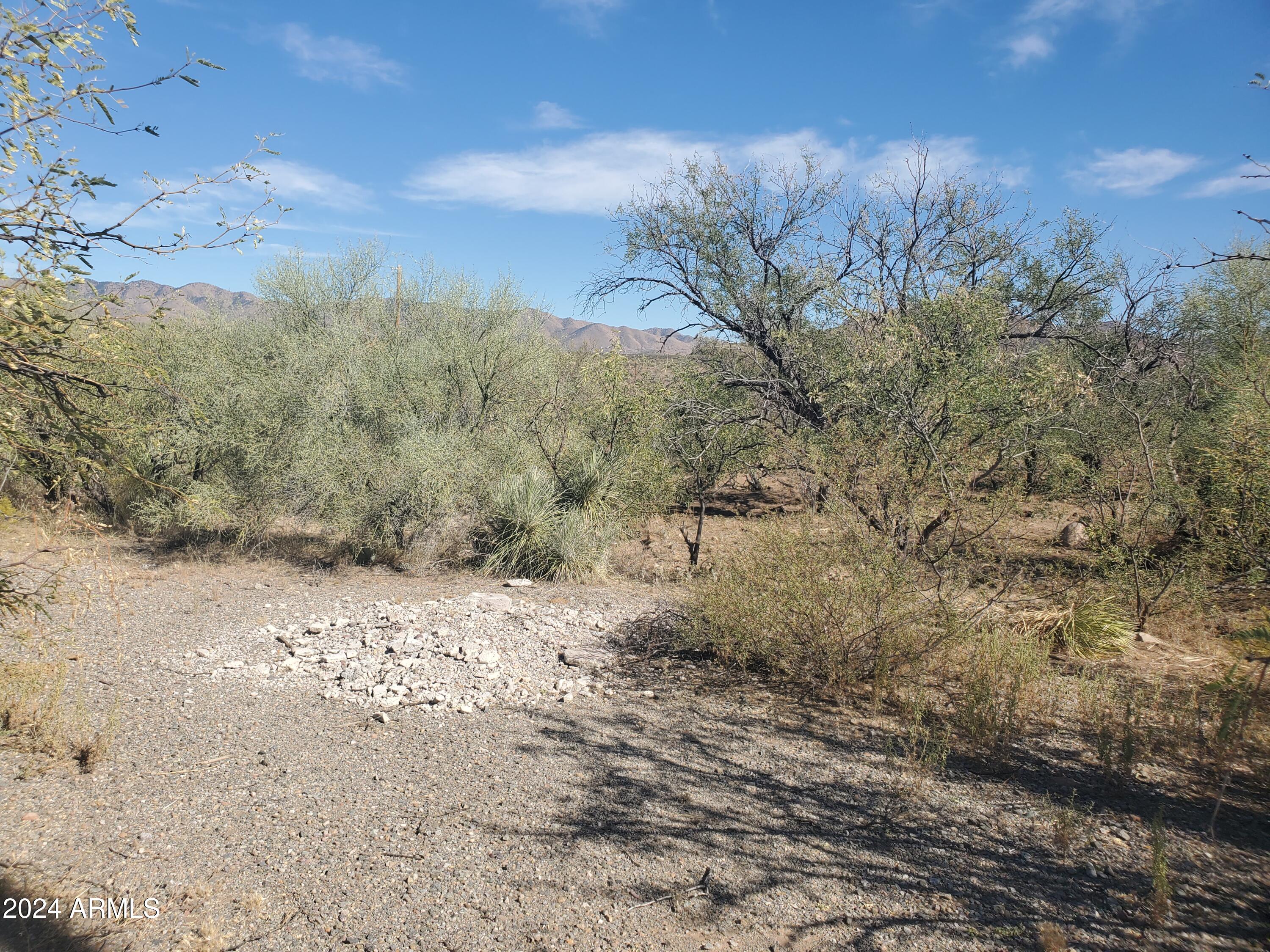 1978 Calle Cominos, Unit 6 Rio Rico, AZ 85648 - Photo 3 of 12 20241022_140949