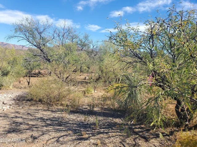 $7,000 | 1978 Calle Cominos, Unit 6, Rio Rico, AZ 85648