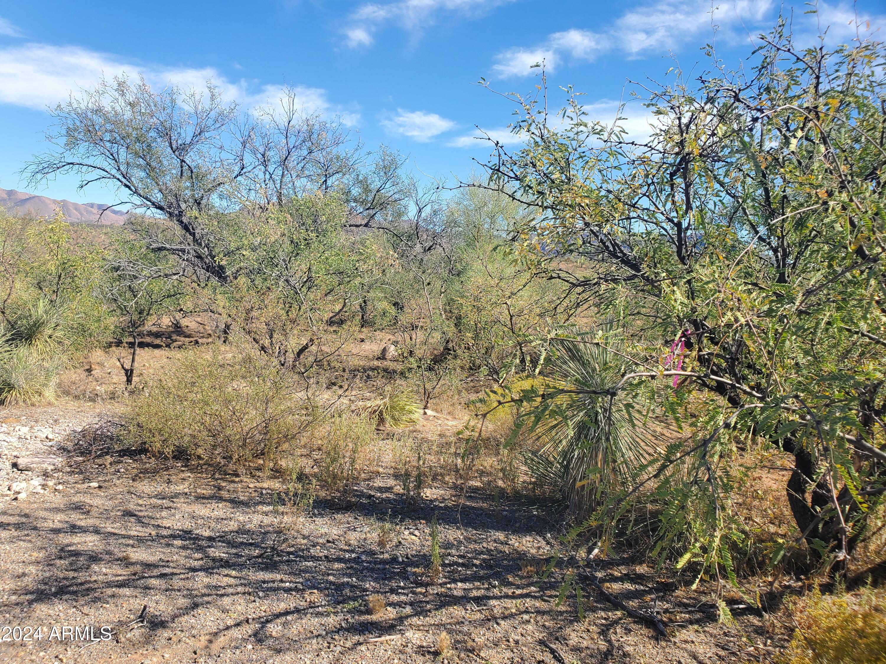 1978 Calle Cominos, Unit 6 Rio Rico, AZ 85648 - Photo 6 of 12 20241022_140947