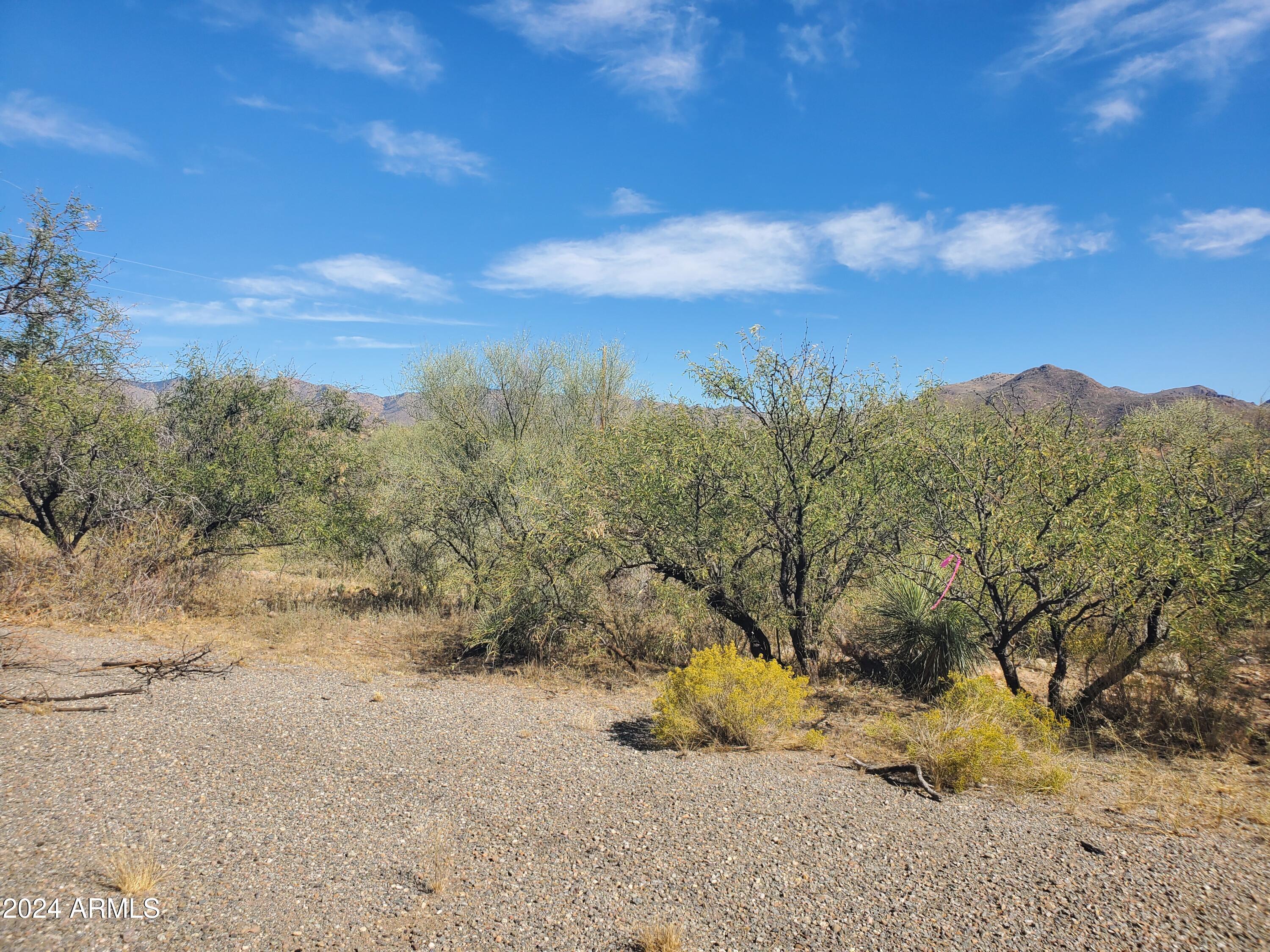 1978 Calle Cominos, Unit 6 Rio Rico, AZ 85648 - Photo 8 of 12 20241022_140839