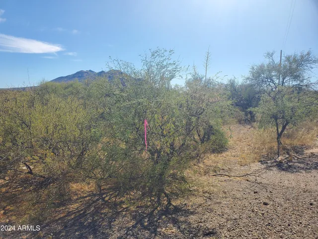 $7,000 | 1978 Calle Cominos, Unit 6, Rio Rico, AZ 85648