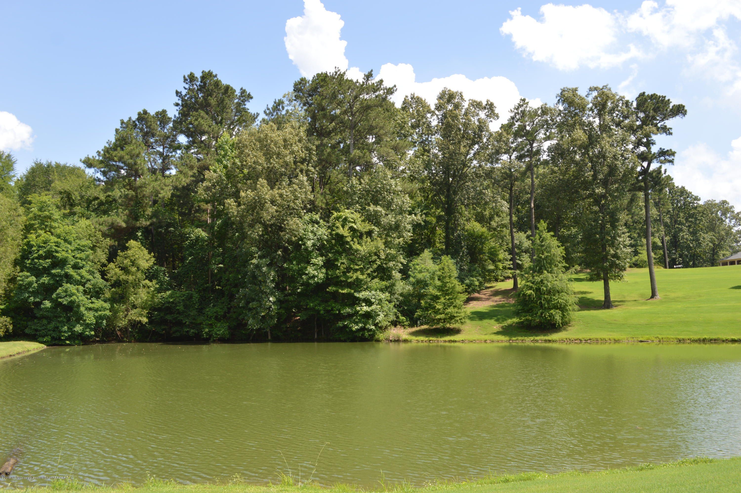2727 Plank Road Hernando, MS 38632 - Photo 12 of 15 Community Lake