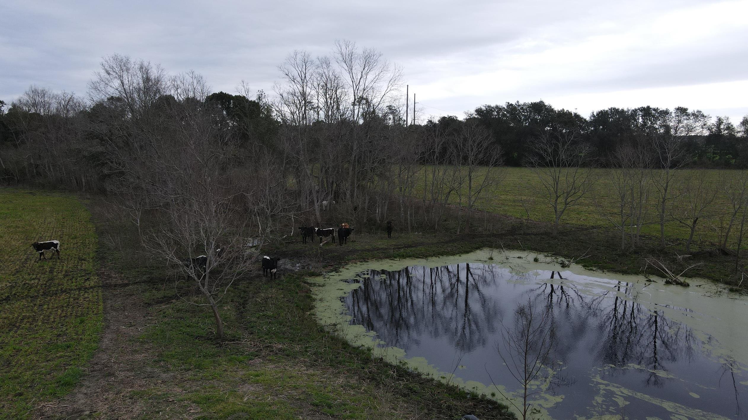 0 Hillcrest Road Lillian, AL 36549 - Photo 12 of 16